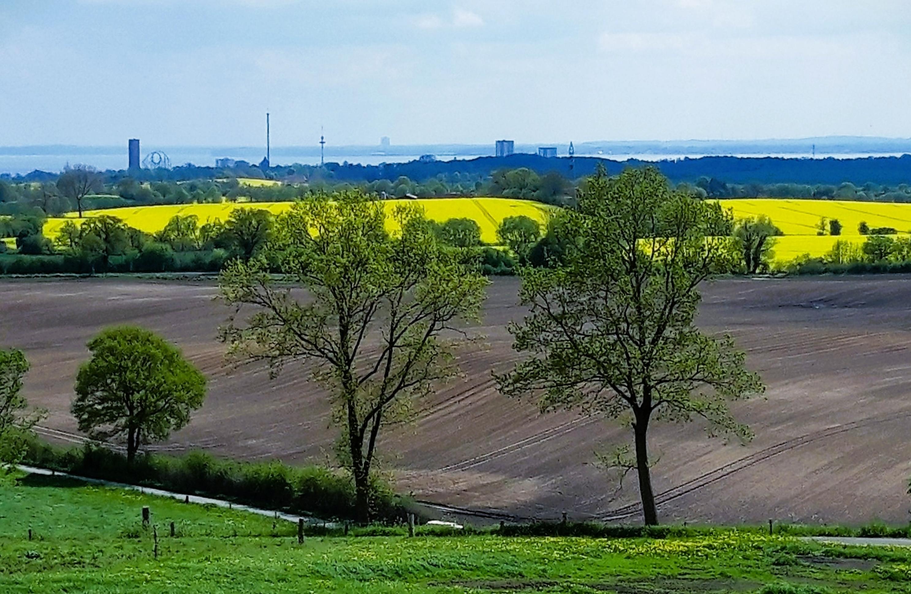 Blick übers Hügelland mit Weiden, Bäumen und gelben Rapsfeldern zur Küstenlinie, vor der ein von einigen Hochhäusern überragter Waldgürtel liegt.
