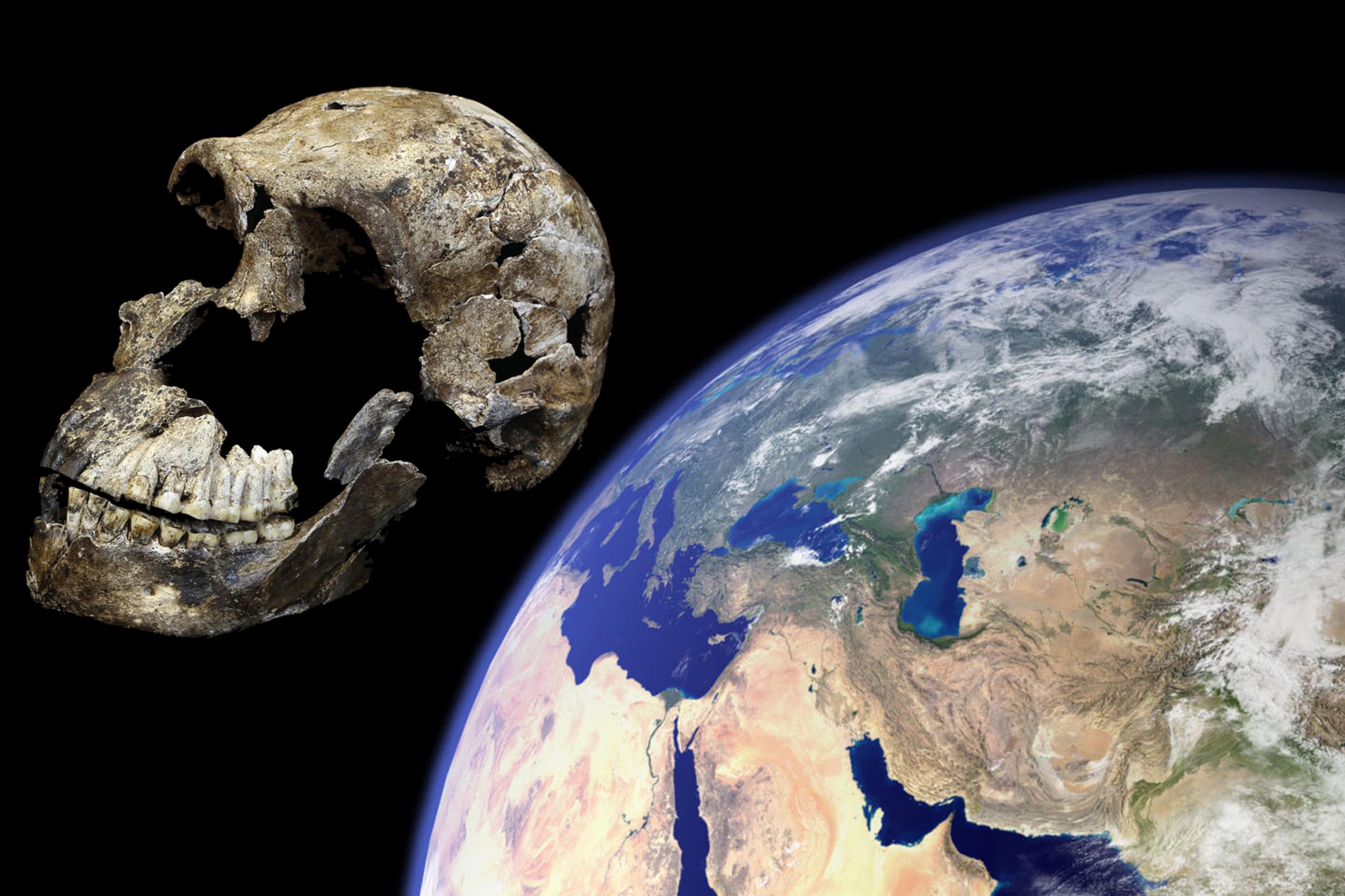 Vor schwarzem Hintergrund ist links der Schädel eines Urmenschen zu sehen, der in dieser Fotomontage vor einem Ausschnitt der Erdkugel, rechts im Bild, durch den Weltraum zu fliegen scheint.