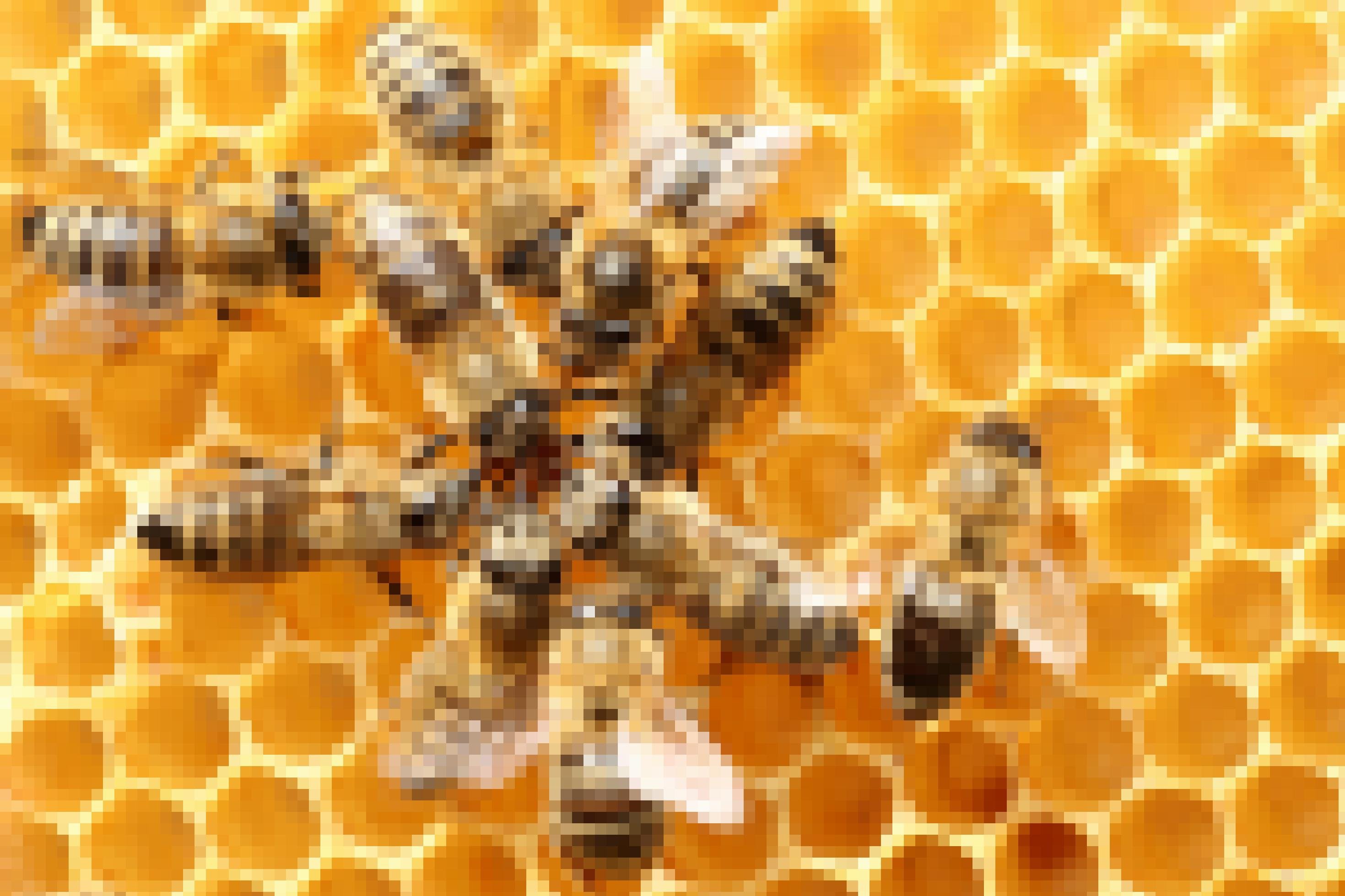 Auf Honigwaben befinden sich 10 Bienen, die sich teilweise berühren und umeinander gruppieren..