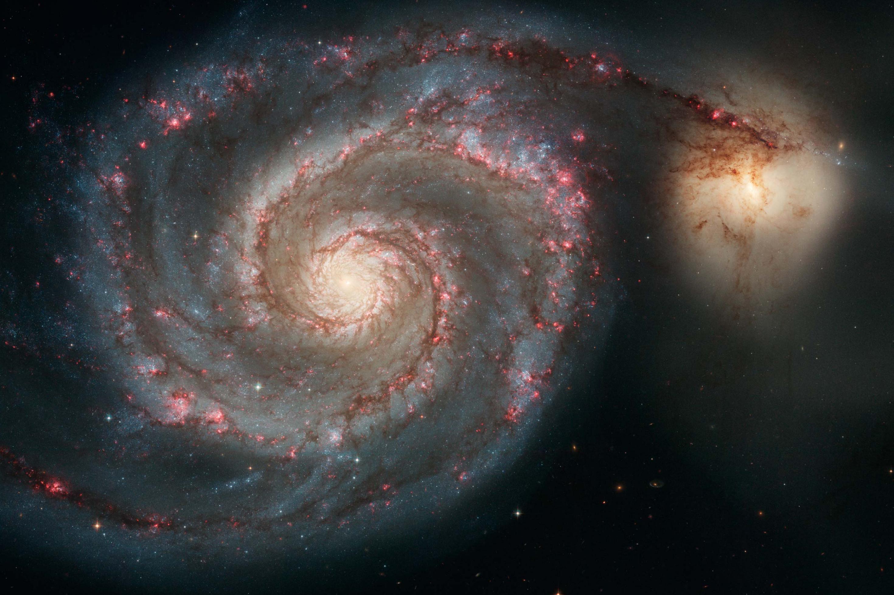 Diese Aufnahme des Hubble Space Telescope ziegt die sogenannte Whirlpool -Galaxie M51 in voller Pracht. Ein Spiralarm scheint zu einer kleineren, unregelmäßigen Nachbargalaxie, NGC 5195 überzulaufen.