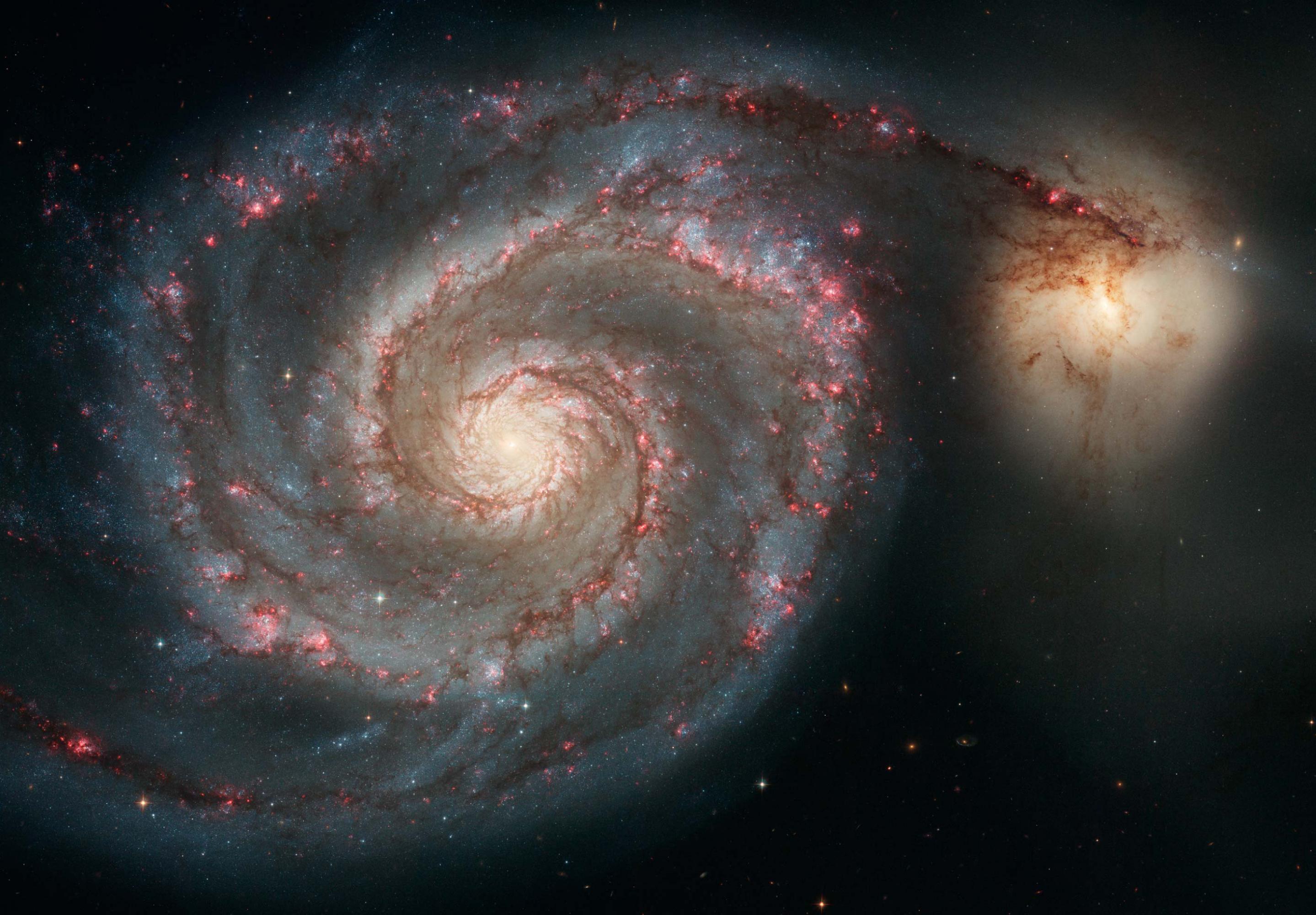 Diese Aufnahme des Hubble Space Telescope ziegt die sogenannte Whirlpool -Galaxie M51 in voller Pracht. Ein Spiralarm scheint zu einer kleineren, unregelmäßigen Nachbargalaxie, NGC 5195 überzulaufen.
