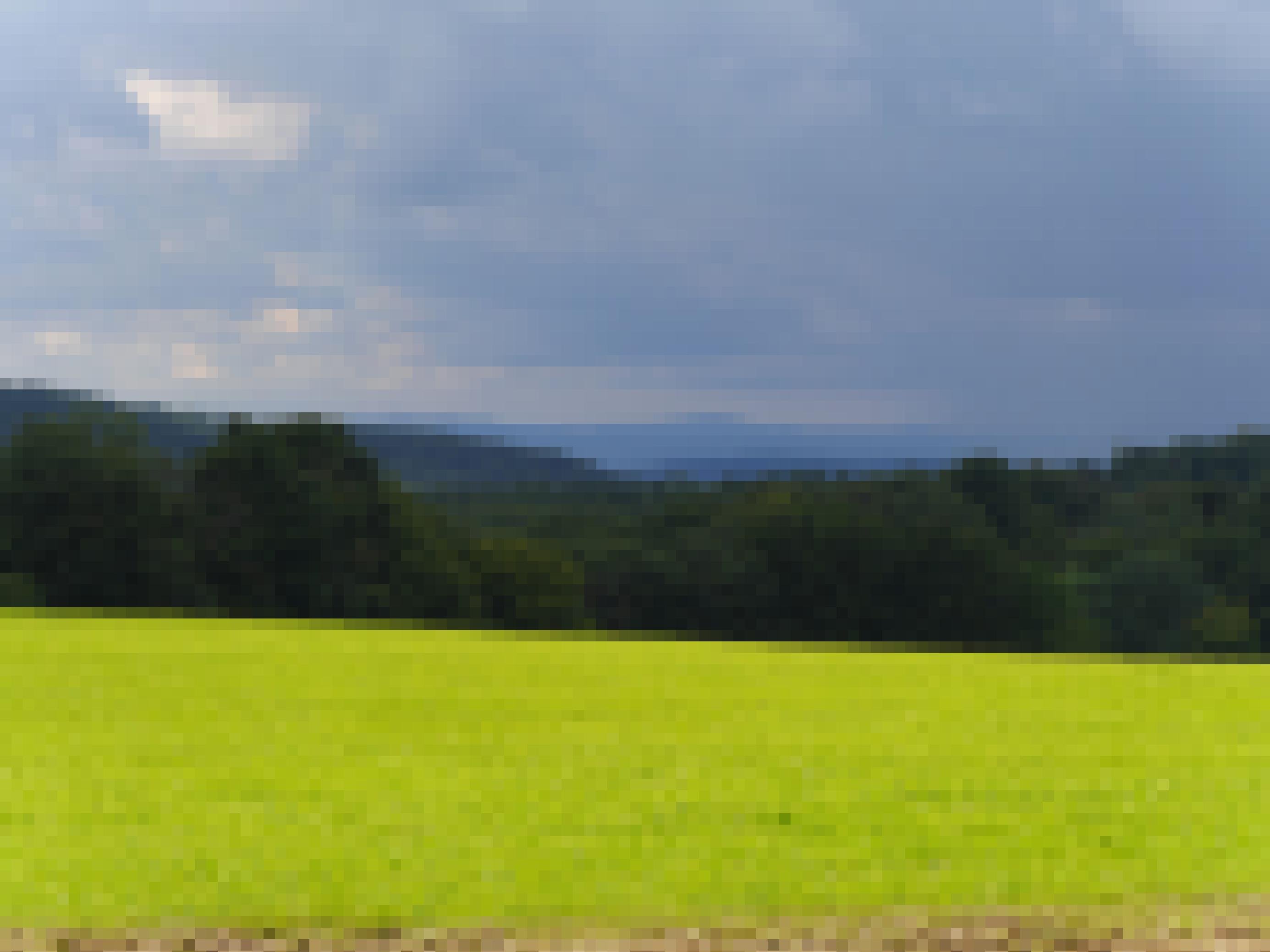 Landschaft mit leuchtend grüner wiese in Vordergrund, dahinter ein Waldsaum und Hügelketten am Horizont unter düster-grauem Himmel