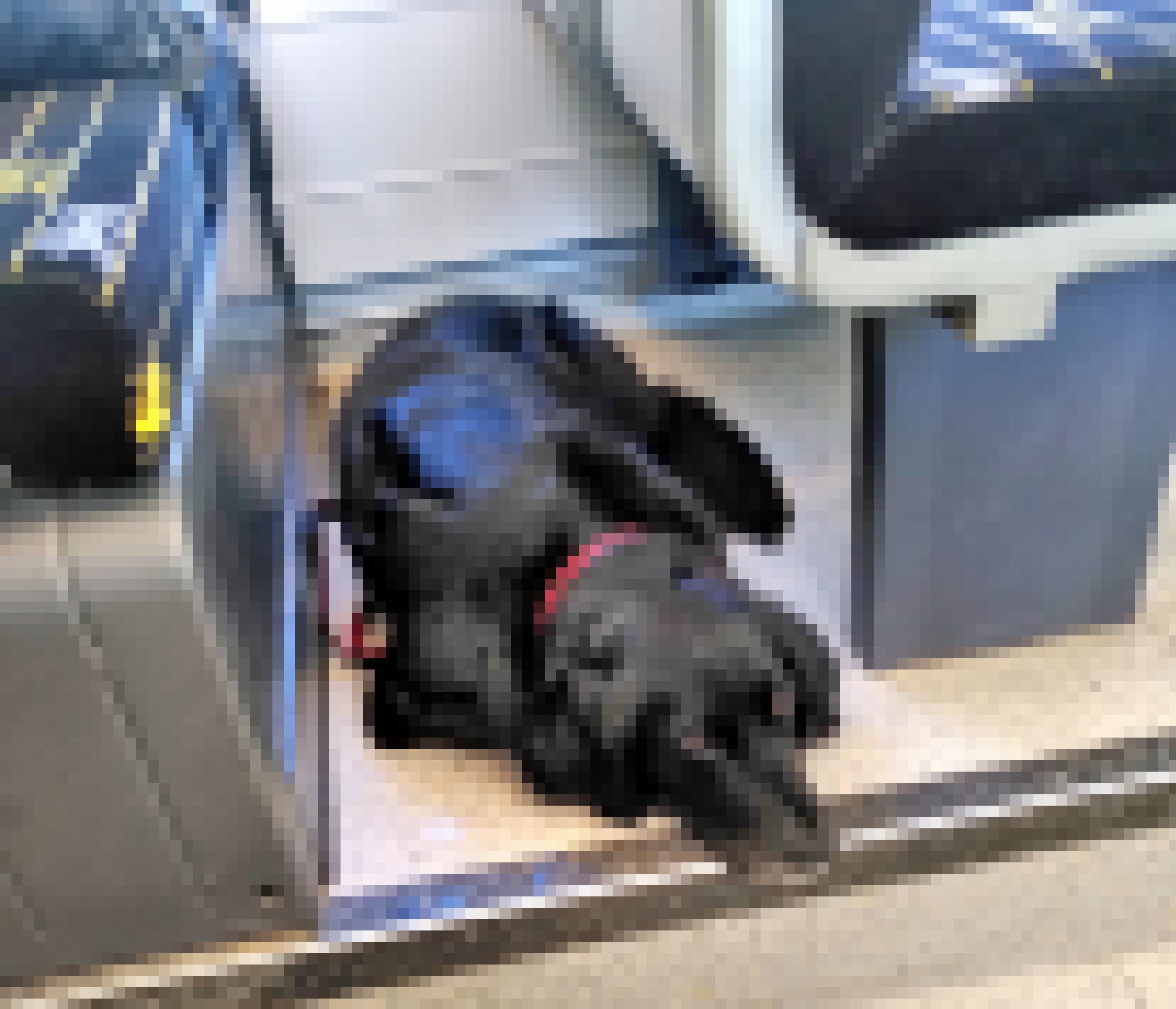 Hund liegt im Zug vor einem Sitz.