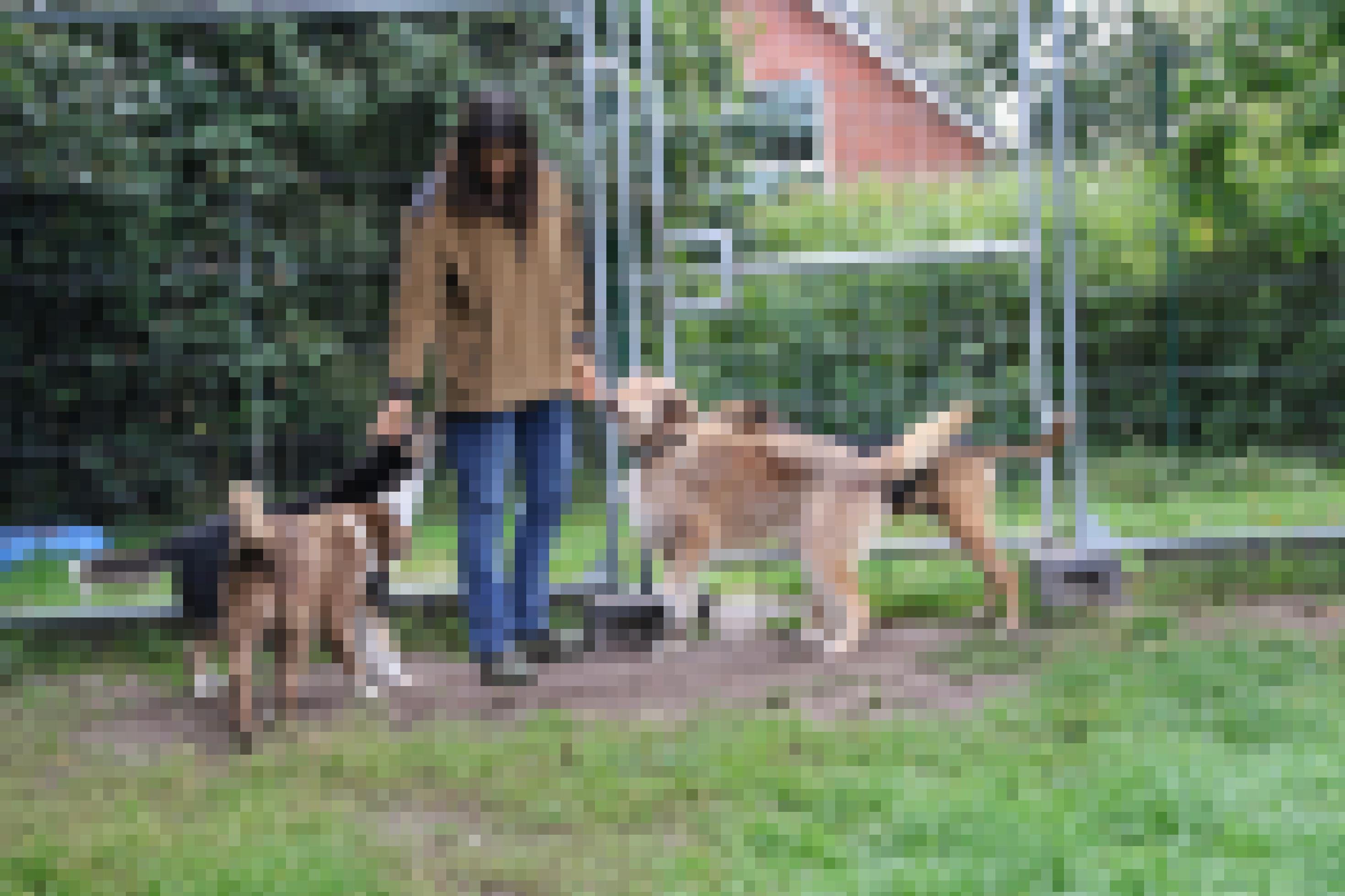 Usha Peters wird von mehreren Hunden umringt.