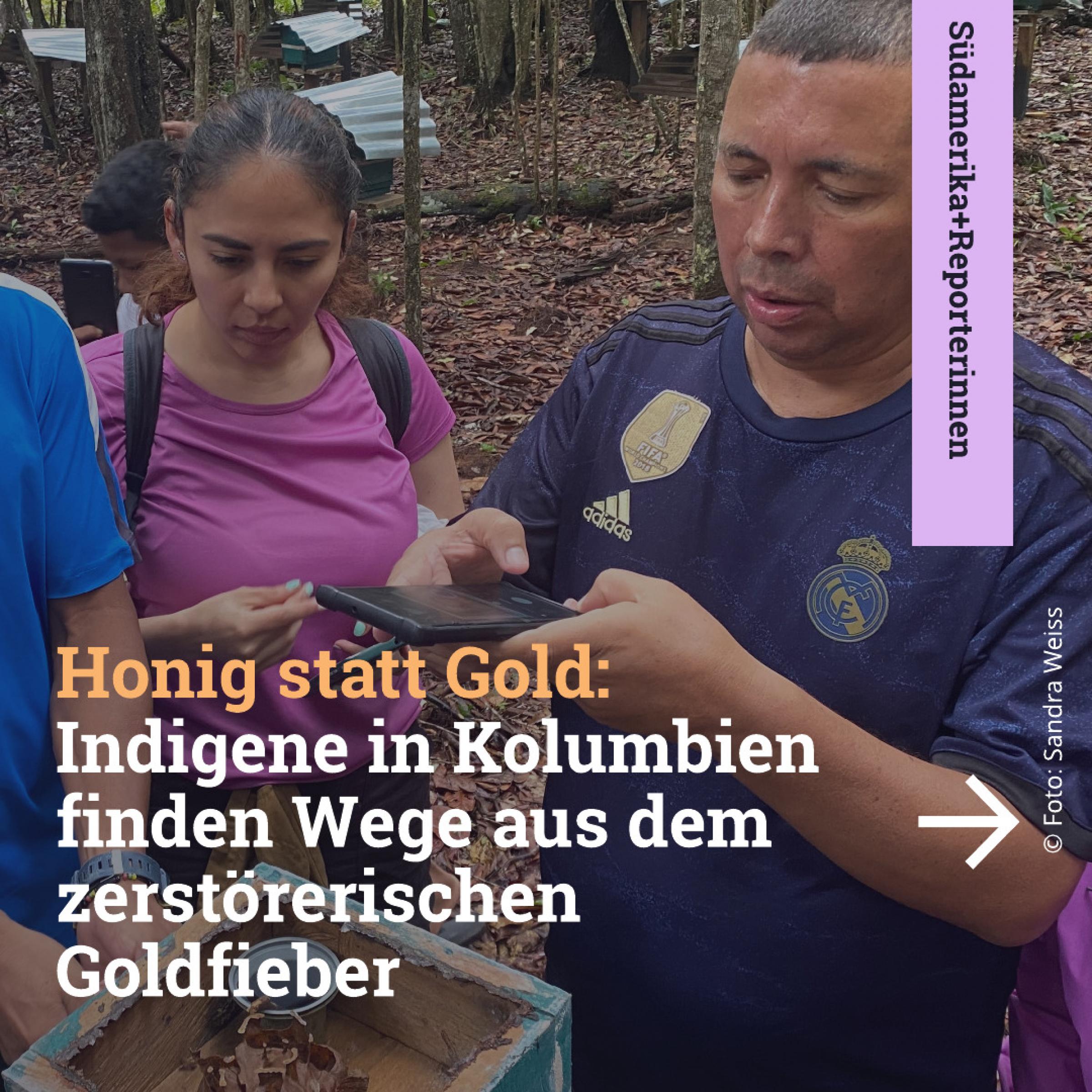 Honig statt Gold: Indigene in Kolumbien finden Wege aus dem zerstörerischen Goldfieber