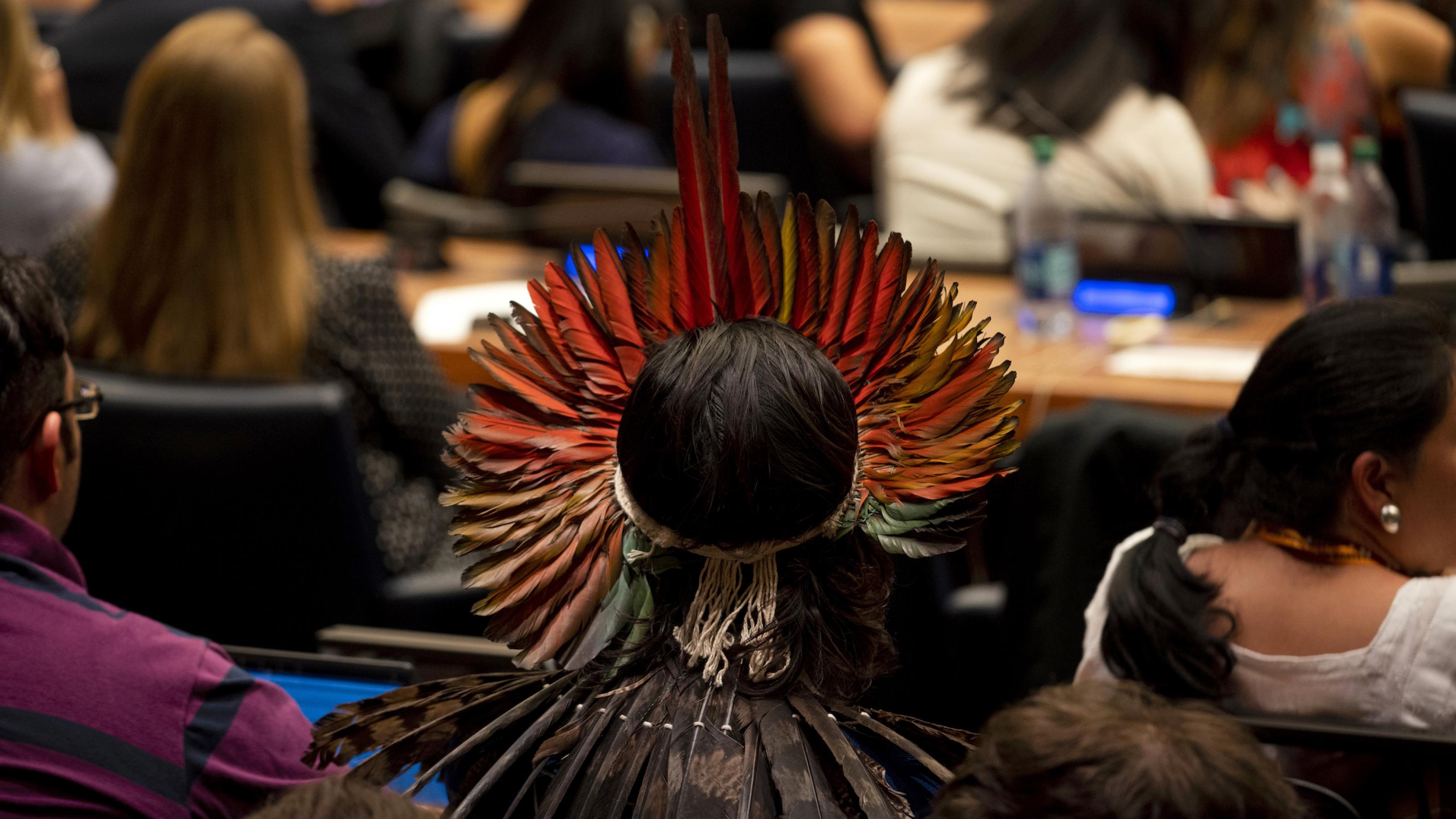 Das Foto zeigt einen Mann mit wunderschönem Federschmuck, der in einem Konferenzsaal der Vereinten Nationen sitzt, von hinten.