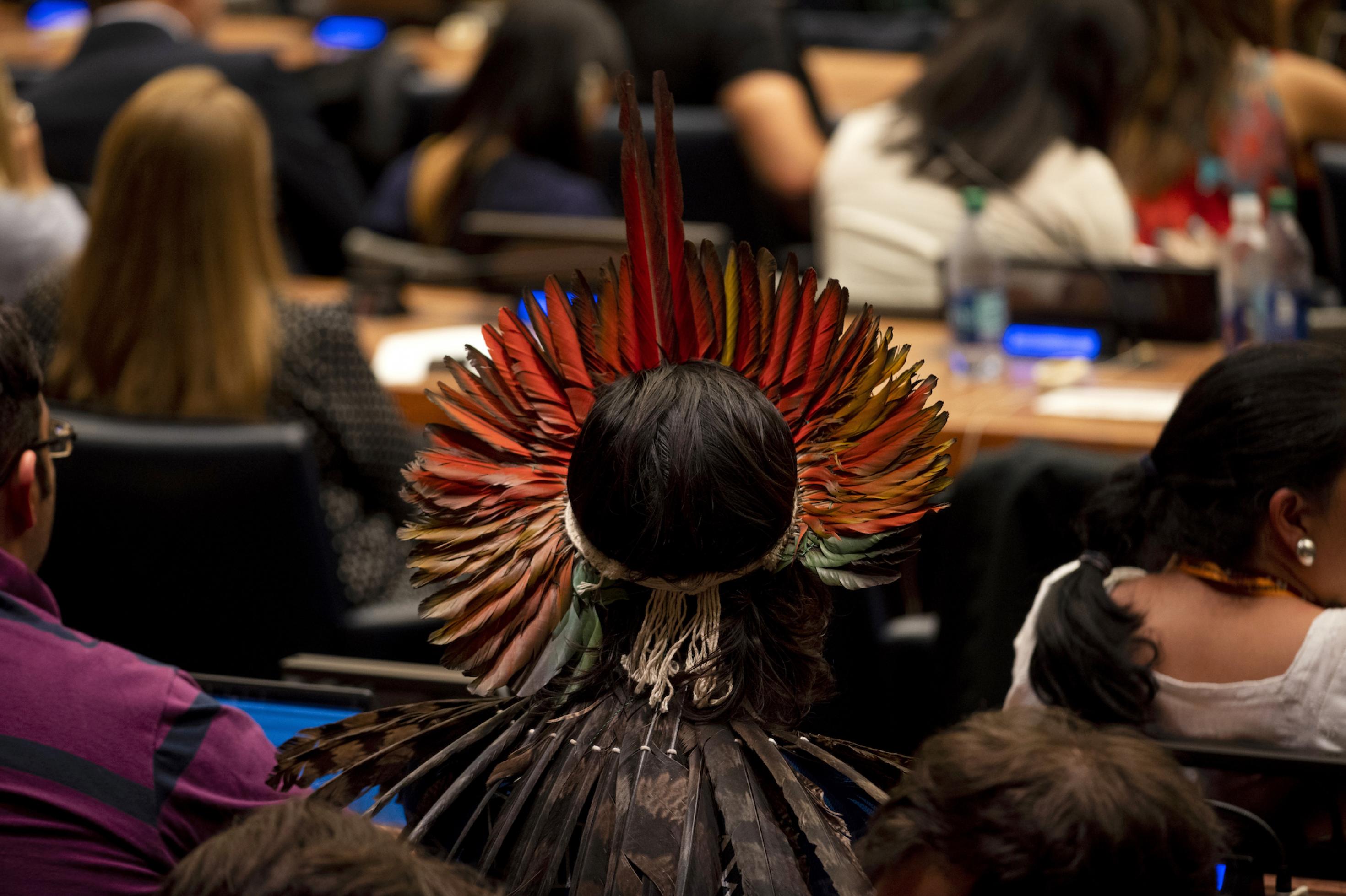 Das Foto zeigt einen Mann mit wunderschönem Federschmuck, der in einem Konferenzsaal der Vereinten Nationen sitzt, von hinten.
