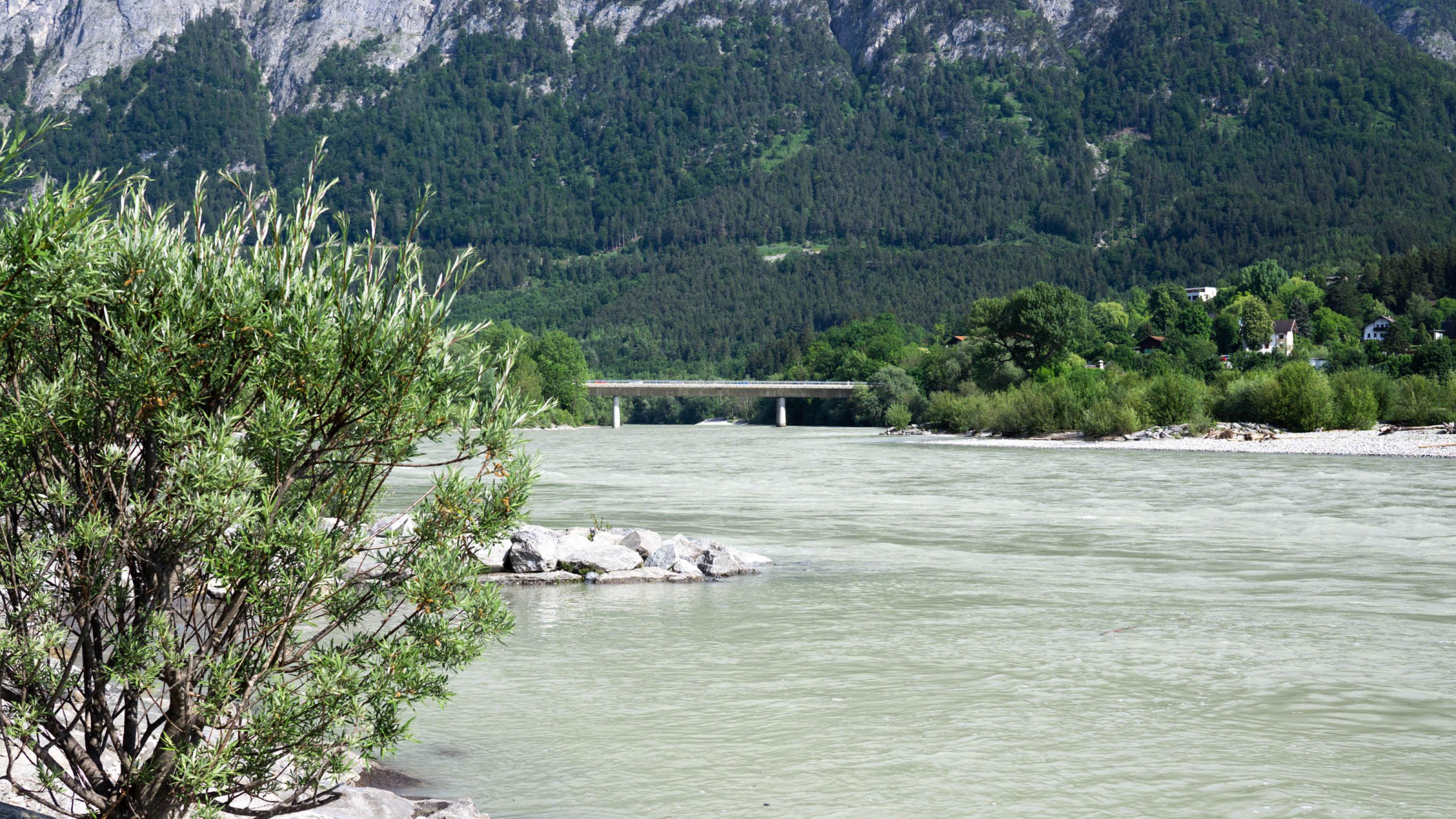 Breiter graugrüner Fluss mit Auwald und Berg im Hintergrund