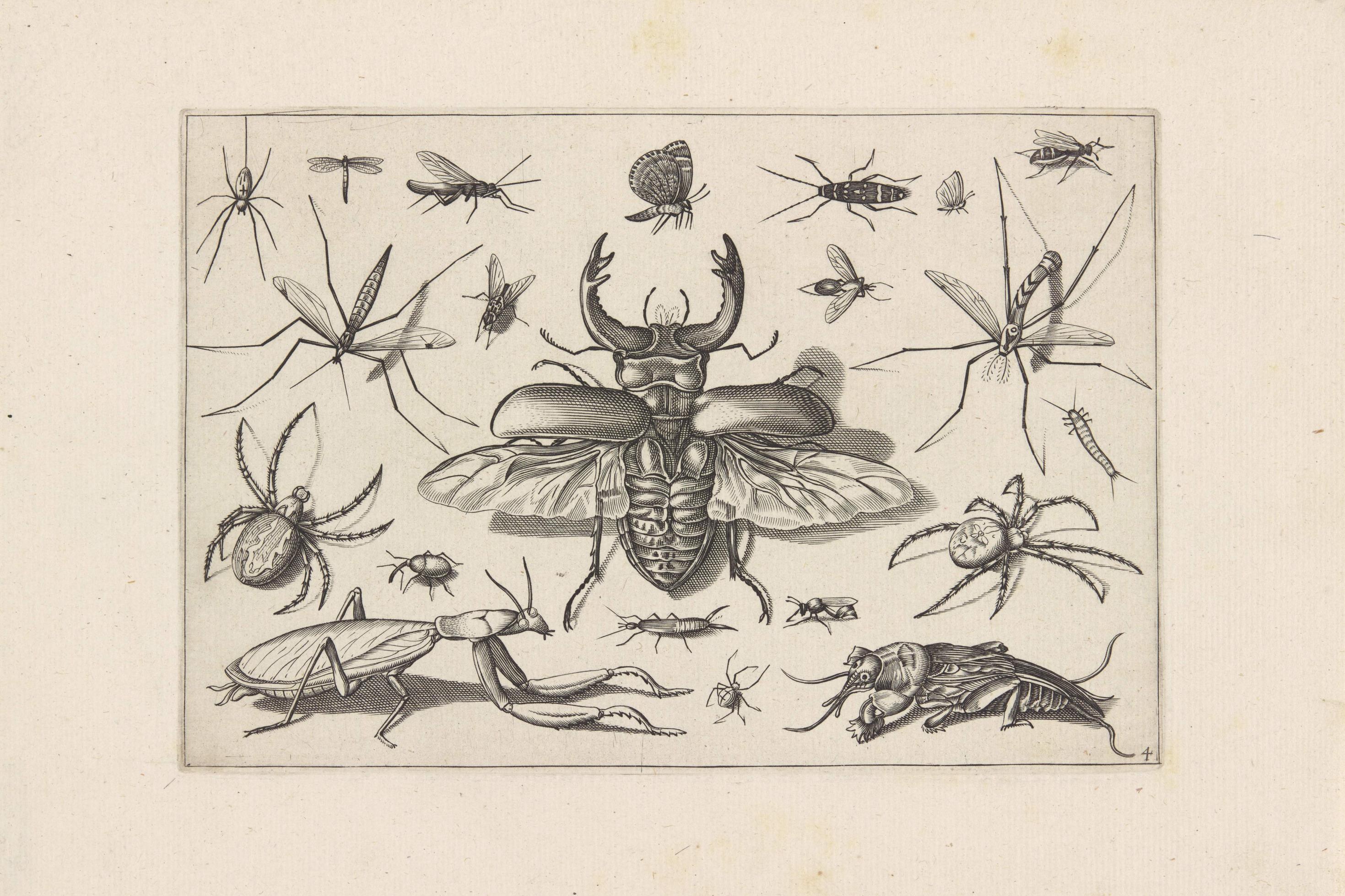 Käfer mit ausgebreiteten Flügeln, umgeben von Mücken, Spinnen, einem Wandelnden Blatt