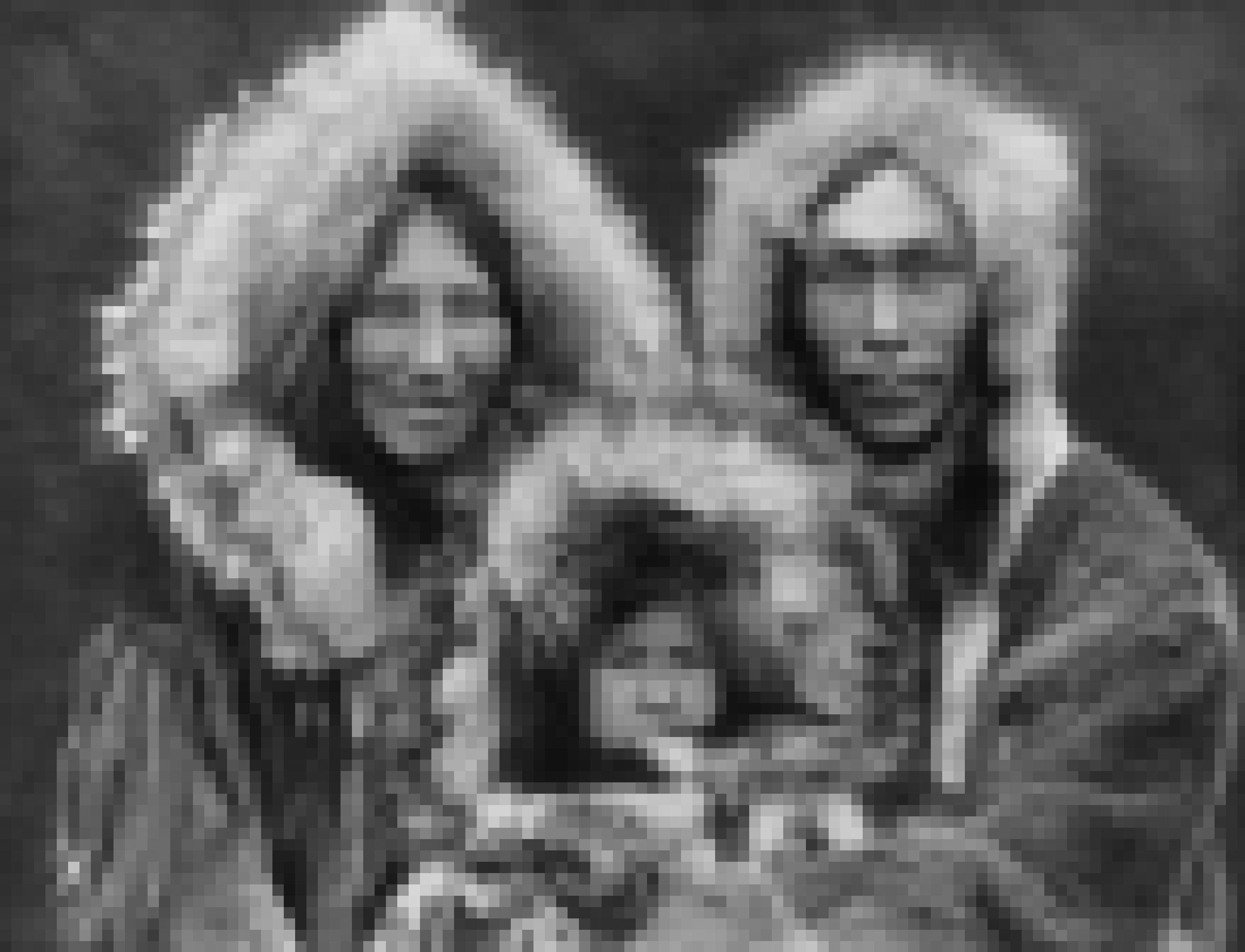 Eine junge Familie der Inupiat (Inuit) eingehüllt in Seerobbenfell blickt in die Kamera.