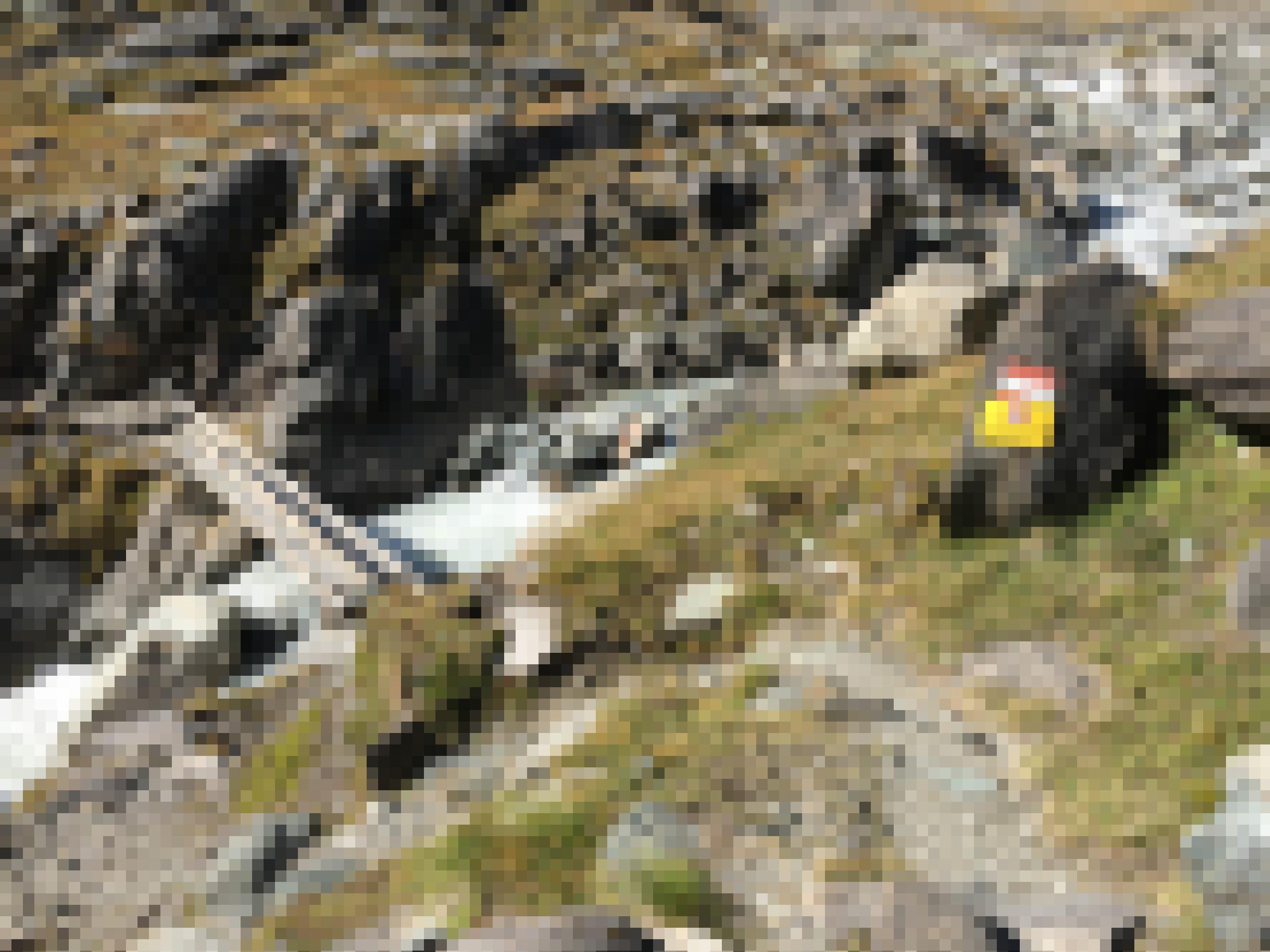 Einfacher Steg über reissenden Gletscherfluss, gelbes Warnschild auf einem Felsblock