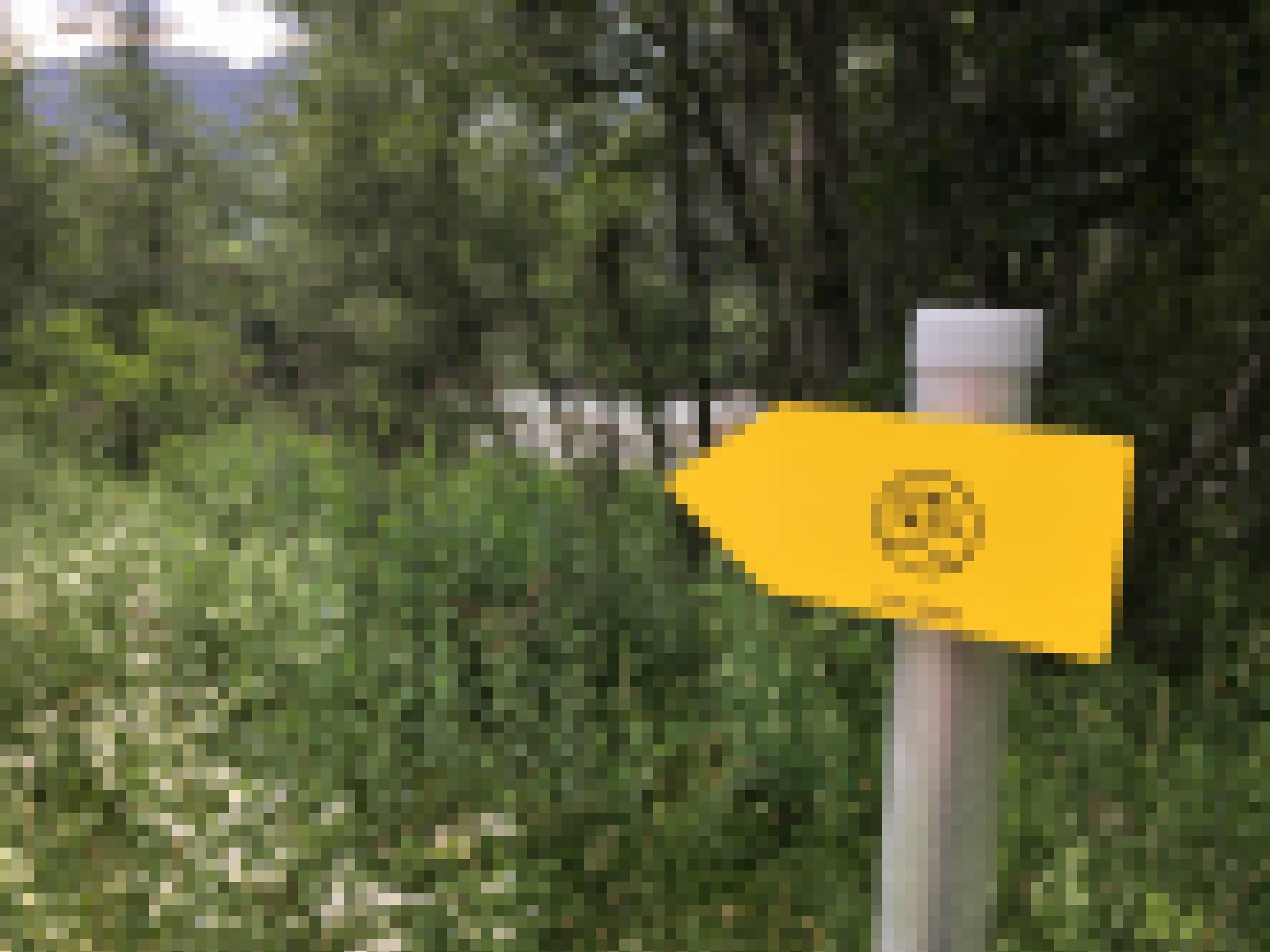 Gelbe Tafel mit Aufschrift „Iseltrail“ im Wald