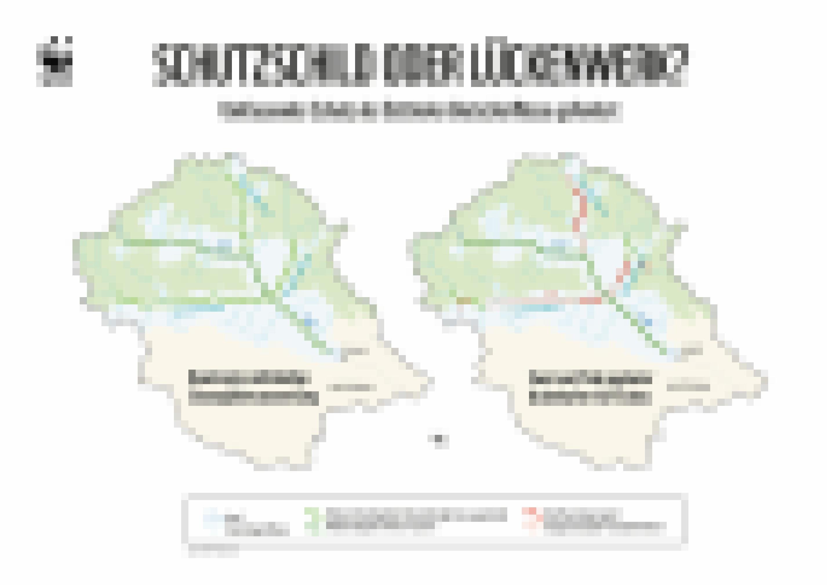 Grafik Karte Osttirol mit Flüssen. Grün markiert sind geplante Schutzgebiete, rot ausgenommene Gebiete mit Kraftwerksplänen.