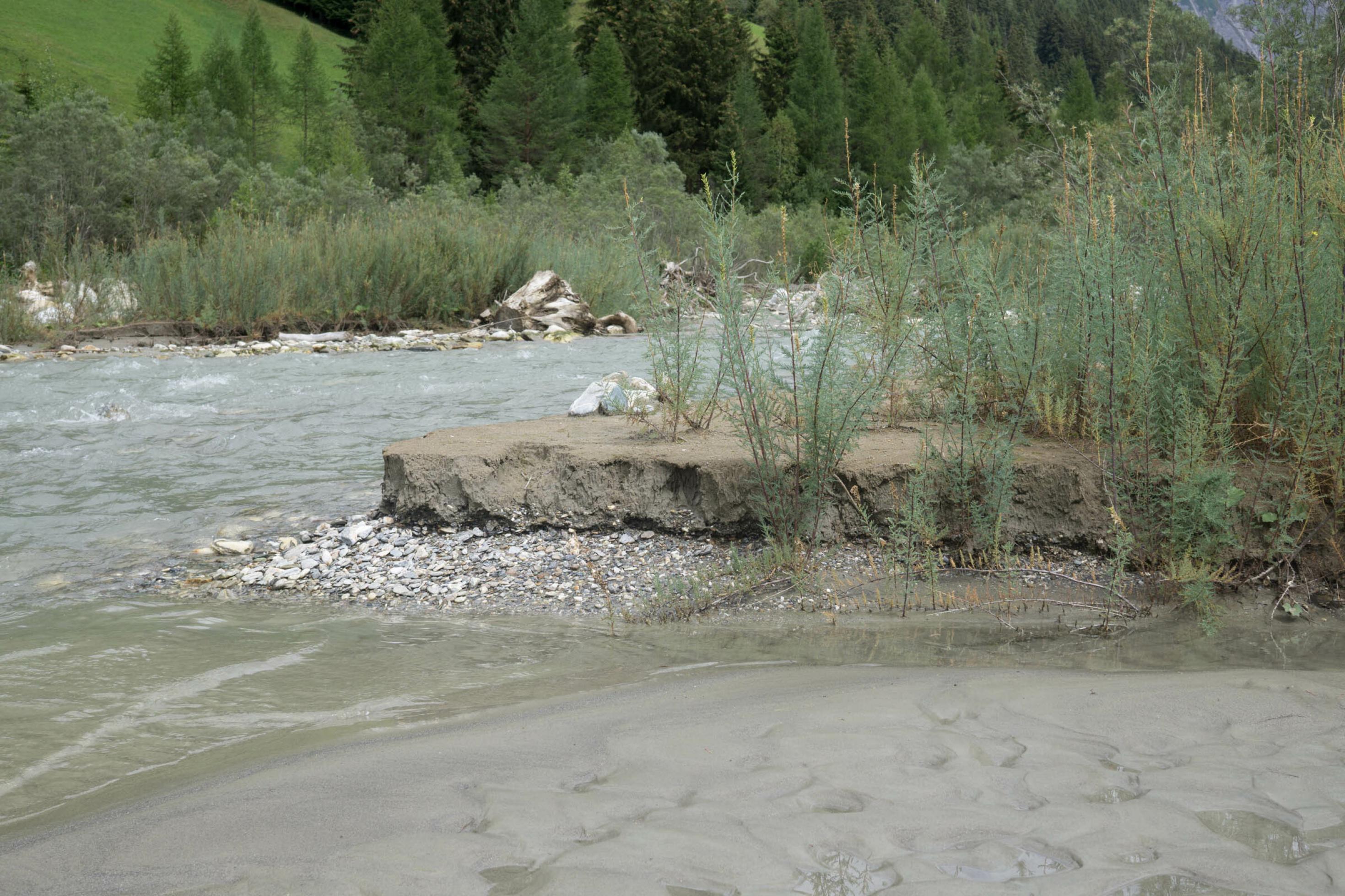 Fluss mit Sandbank und Pflanzen darauf