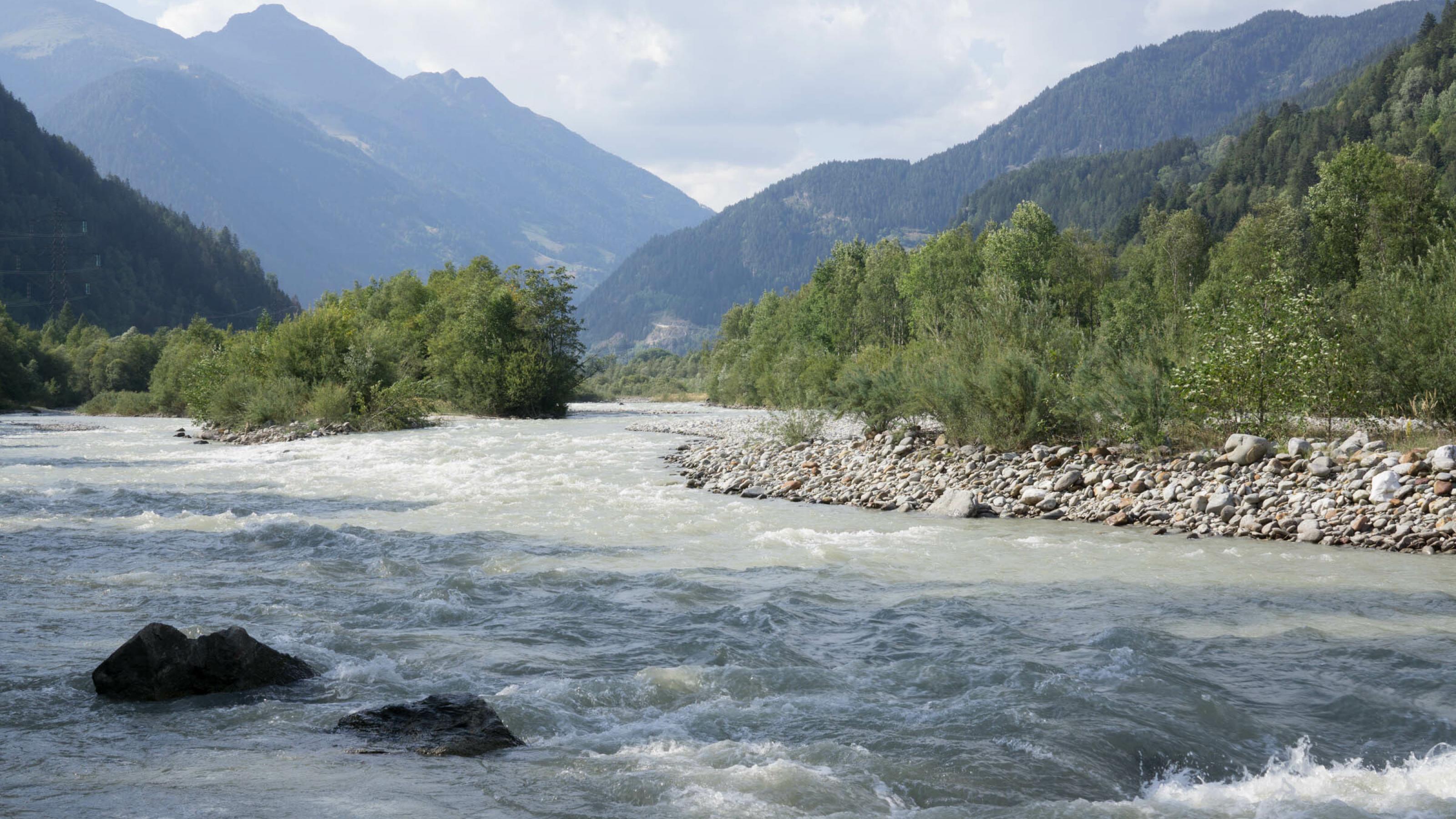 Breiter Fluss mit Schotterbänken und Bäumen in alpiner Landschaft