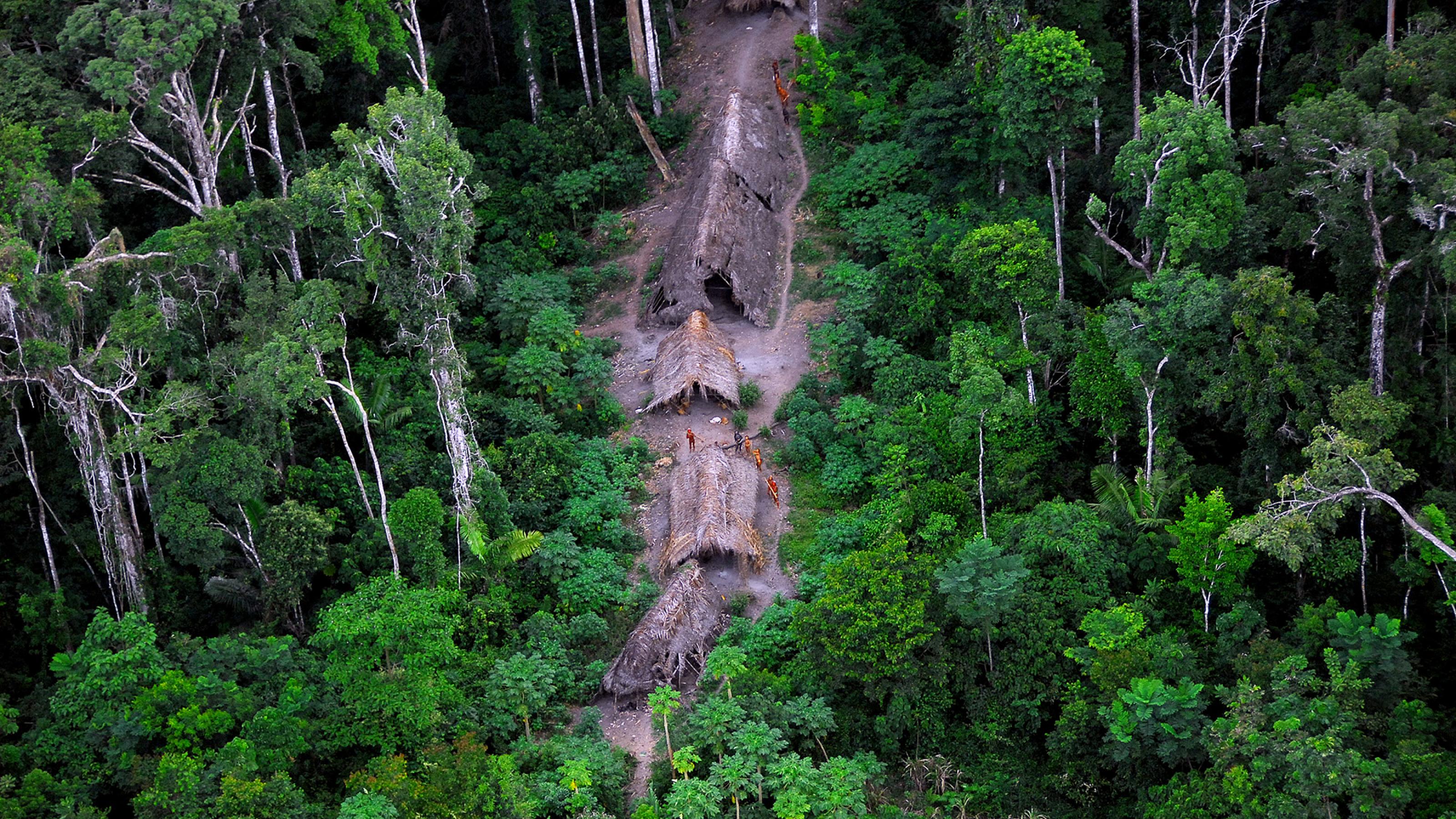 Die Luftaufnahme zeigt fünf palmstohbedeckte Unterstände mitten im dichten Grün des Urwalds
