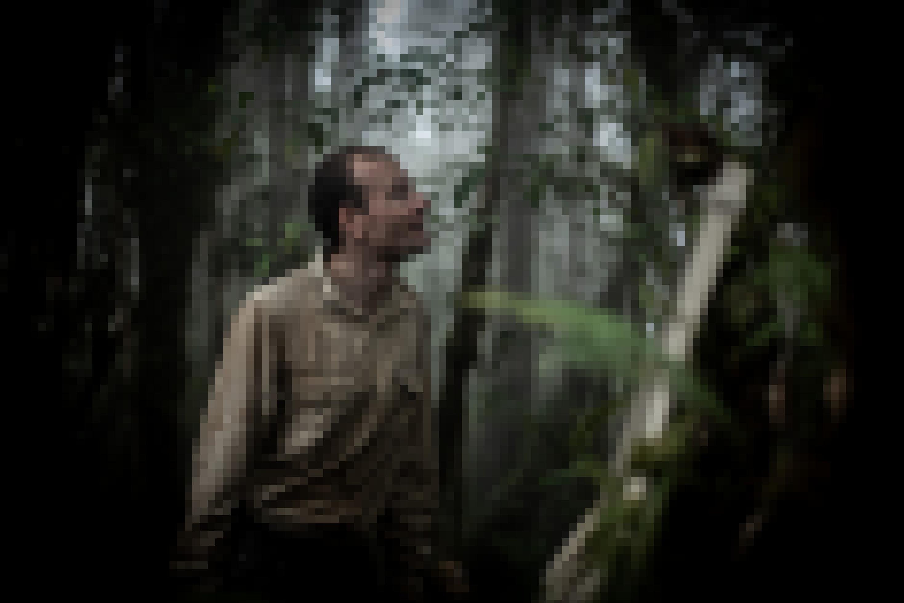 Ein Mann mit heller Haut im nebeligen Regenwald. Er schaut nach oben.