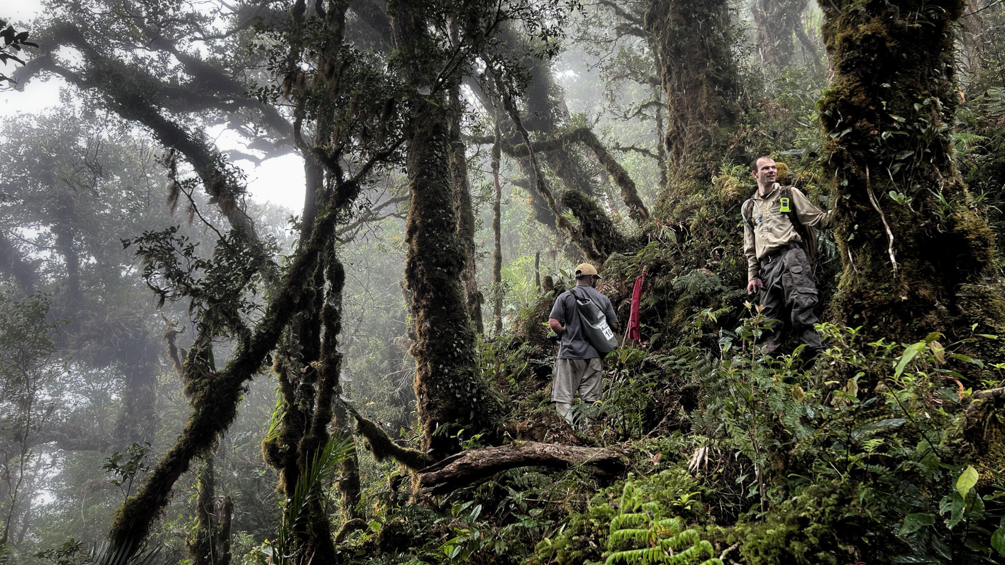 Zwei Männer stehen an einem steilen Abhang der völlig überwuchert ist von Bäumen, Ranken, Farnen und Sträuchern.