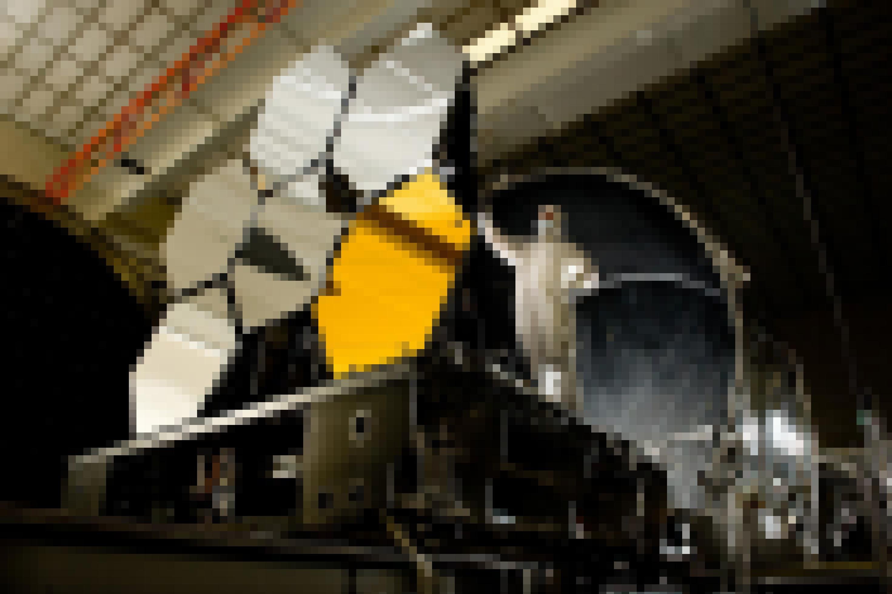 Spiegelsegmente des James-Webb-Teleskops mit Techniker