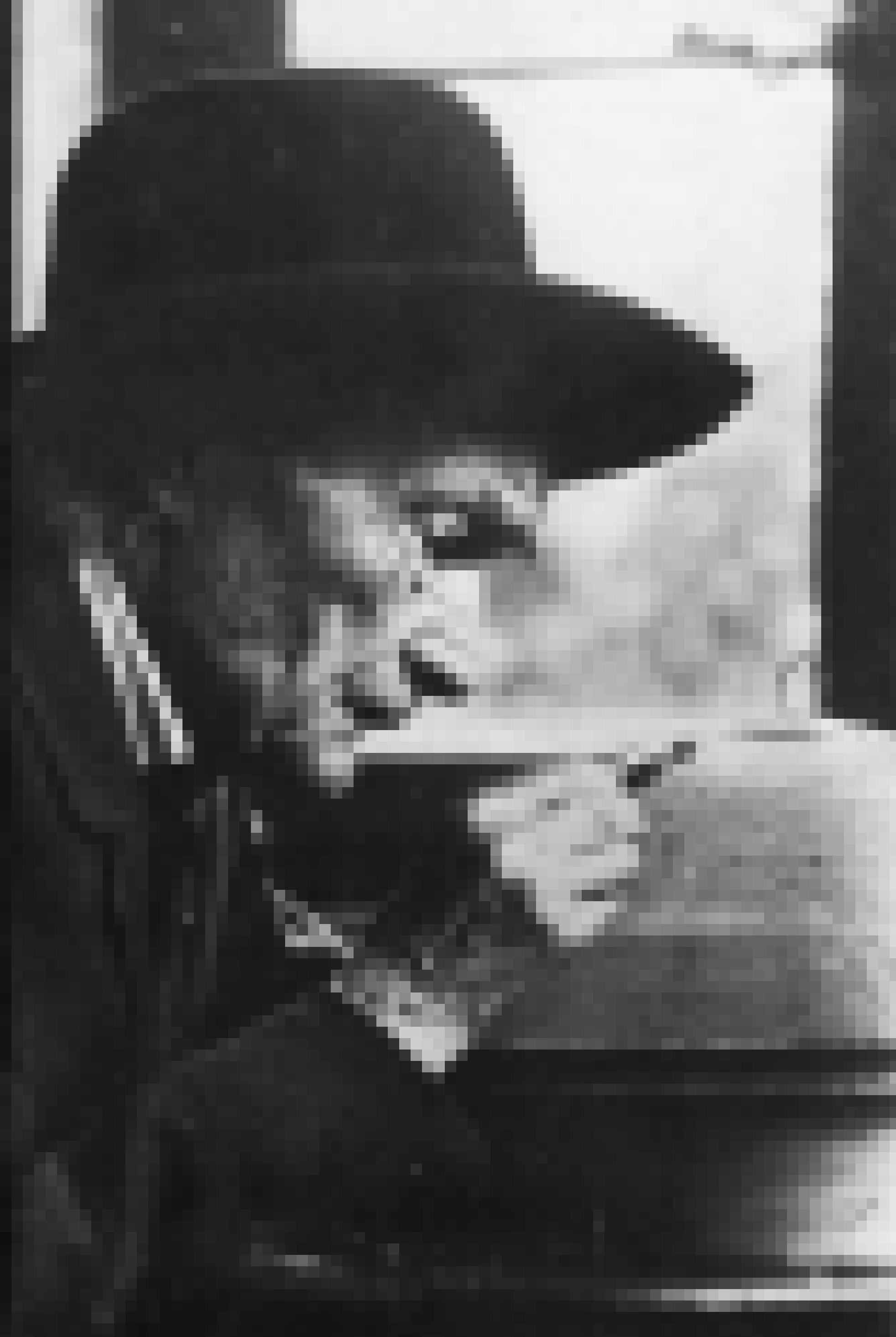 Portrait des französischen Jean-Henri Fabre in hohem Alter. Sein Gesicht ist von Falten zerfurcht.