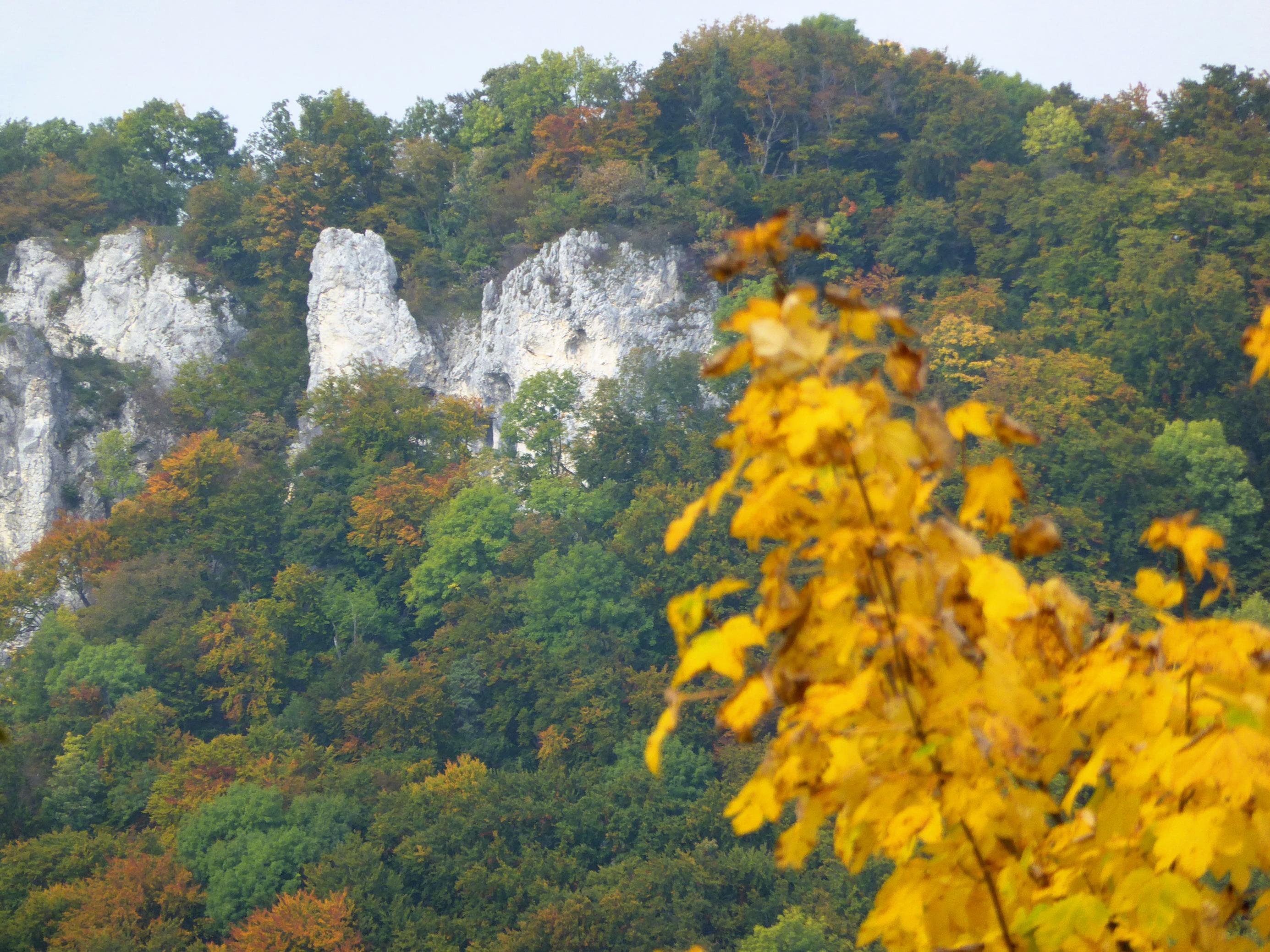 Helle Kalkfelsen schimmern in einer Steilwand zwischen Bäumen in bunter Herbsttracht hindurch.