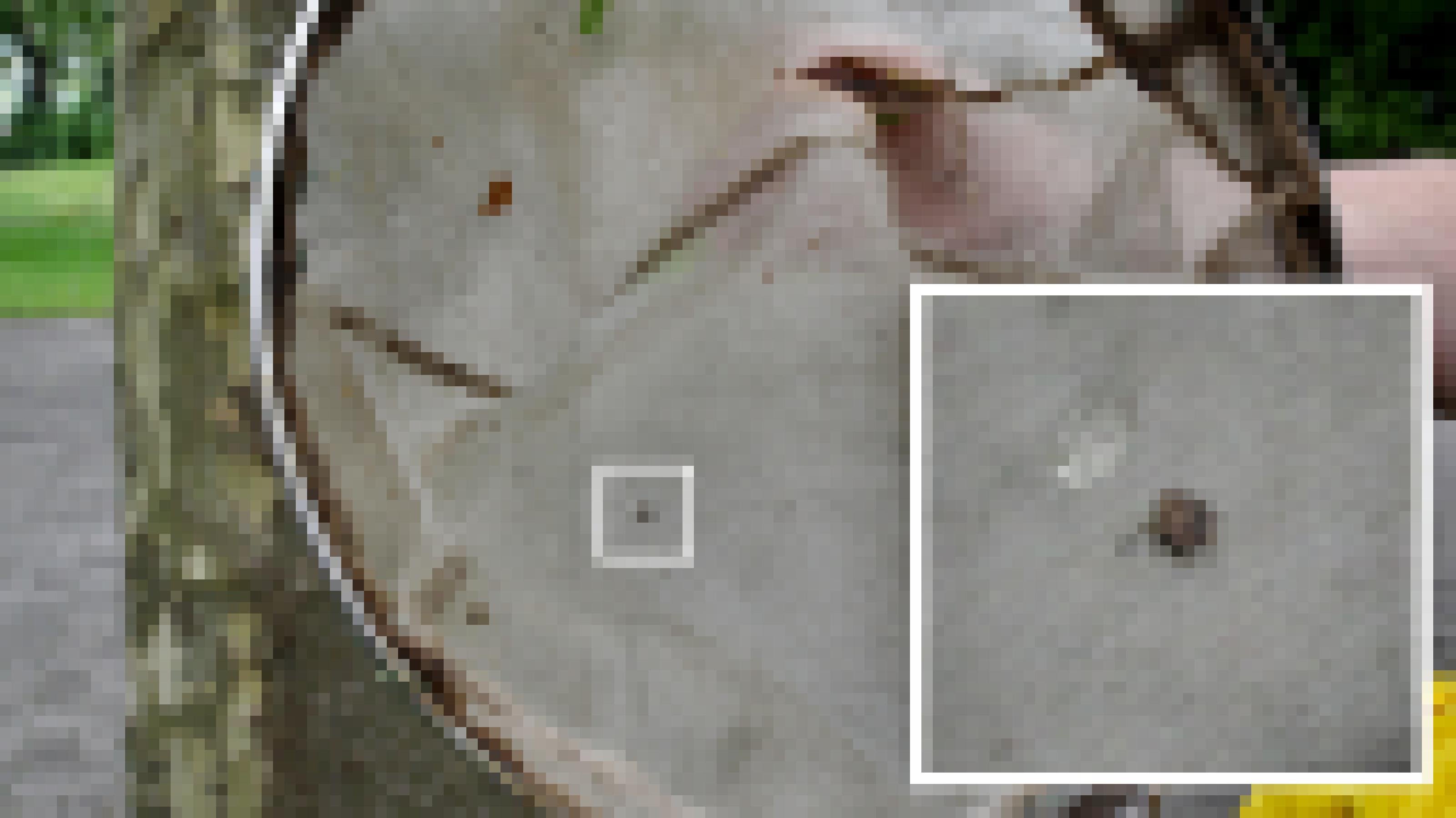 Auf weiß-grauer Gaze eines Keschers ist als kleiner dunkler Punkt eine Zikade zu sehen. Ein Bildausschnitt zeigt das Insekt vergrößert.