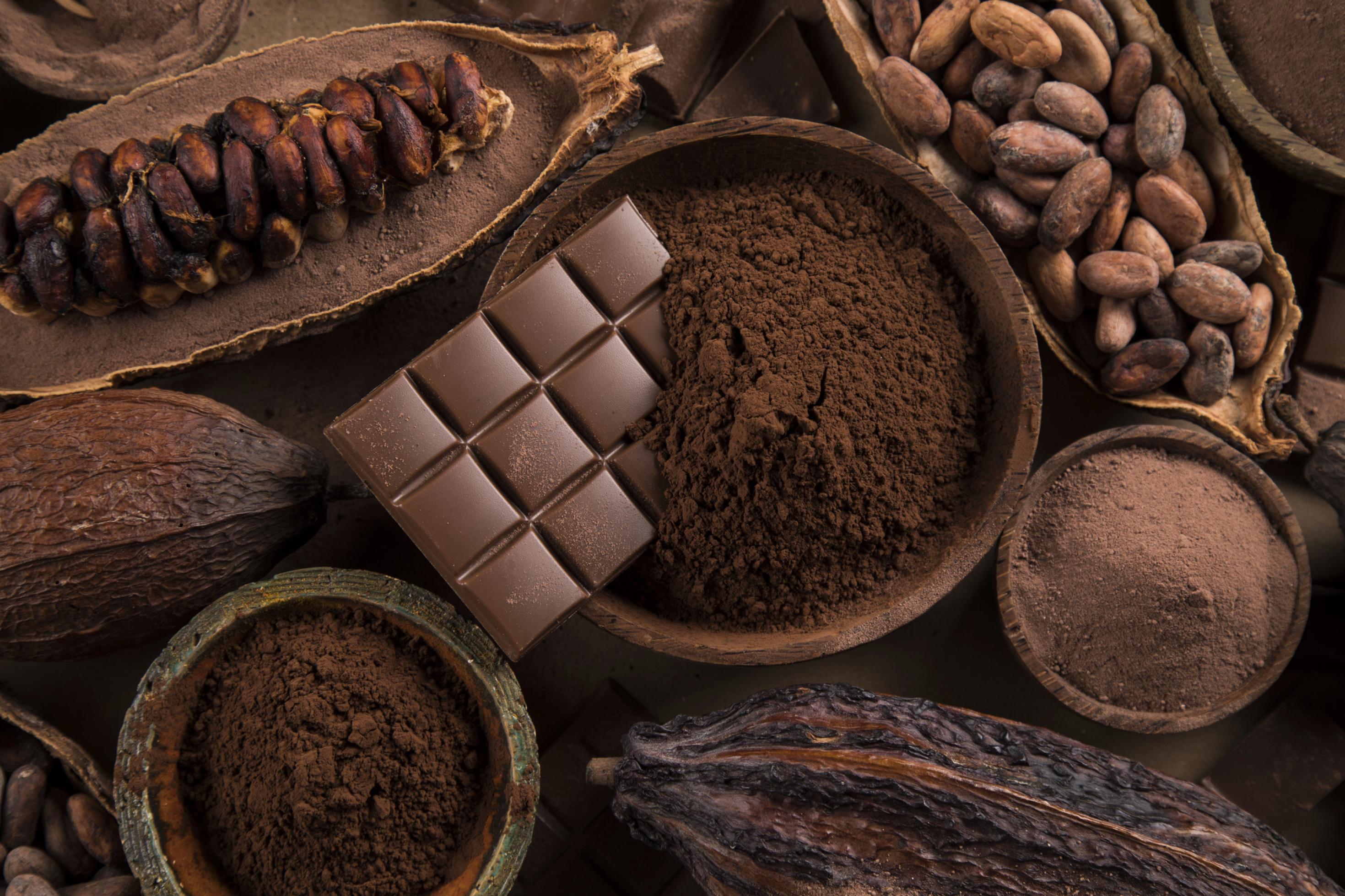 Draufsicht: Dunkle Schokolade, rohe Kakaobohnen, gesiebter Kakao - alles in Holzschälchen angerichtet.