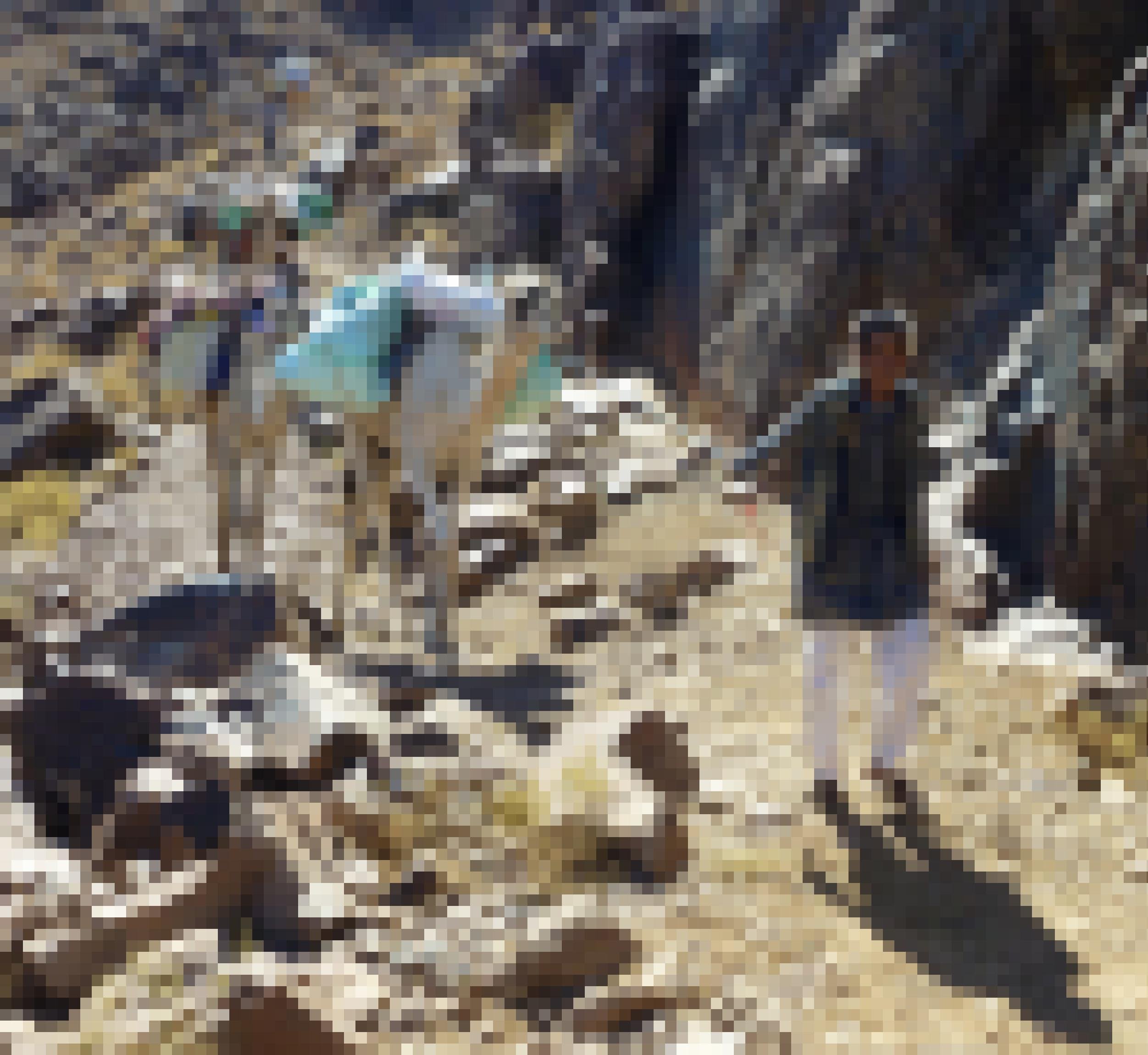 Vier Beduinen ziehen mit ihren Kamelen durch strauchloses, felsiges Gelände zwischen dem Moses- und dem Katharinenberg im Sinai. Die Tiere tragen vollbepackte türkise Satteltaschen aus Kunststoff.