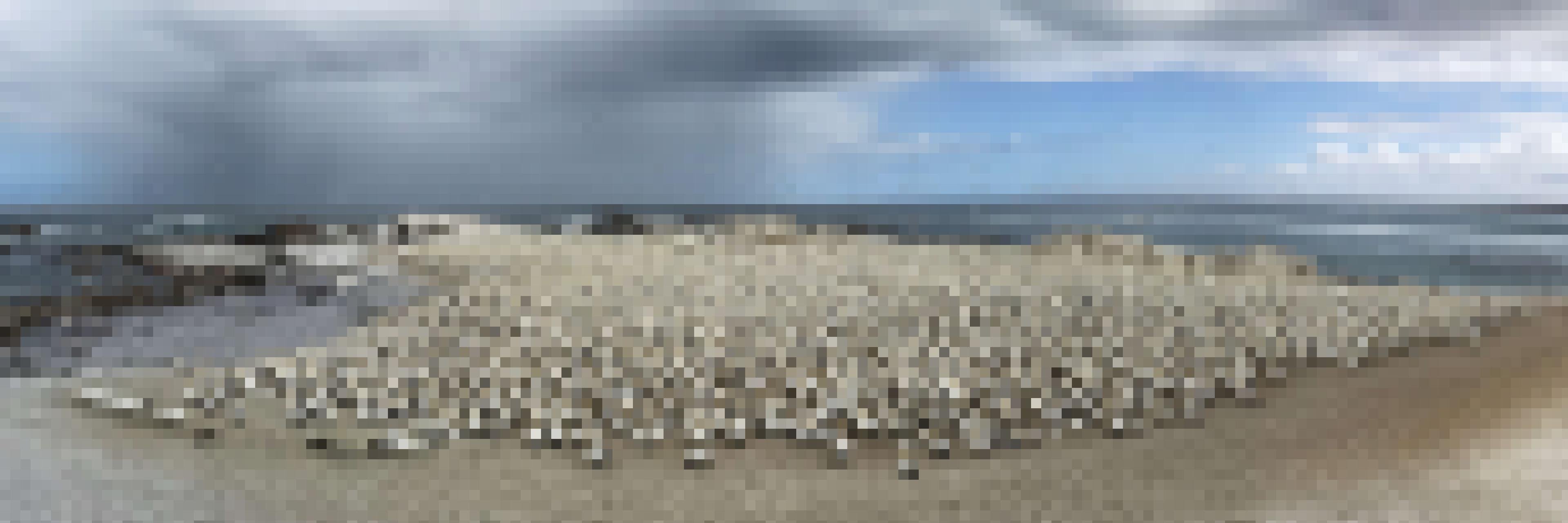 Panoramabild der Vogelkolonie auf Bird Island. Im Hintergrund sieht man einen Streifen mit dunkelgrauen Wolken, aus denen es regnet.