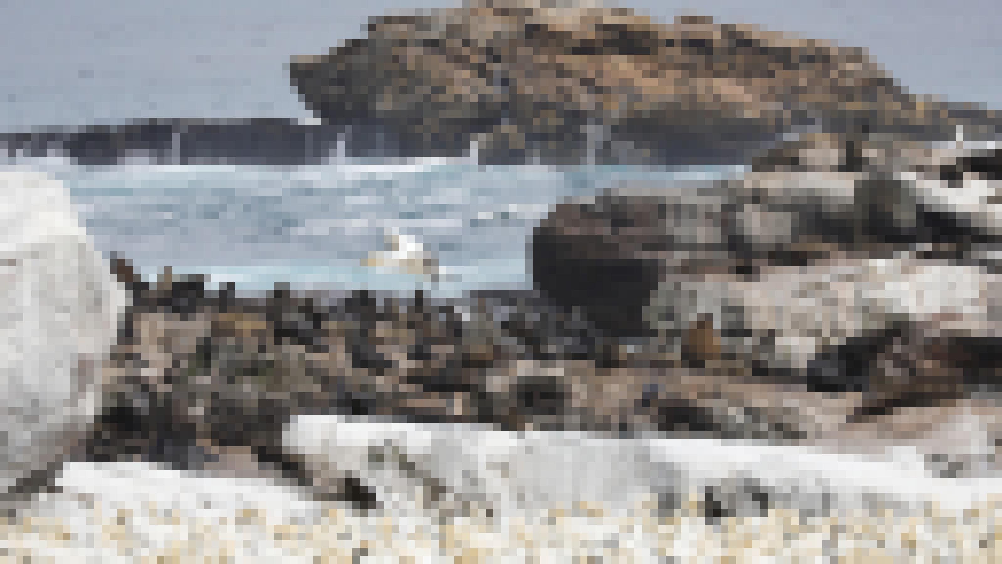 Auf den Felsen liegen dunkelbraune Robben. Im Vordergrund unscharf viele Kaptölpel, im Hintergrund das Meer.