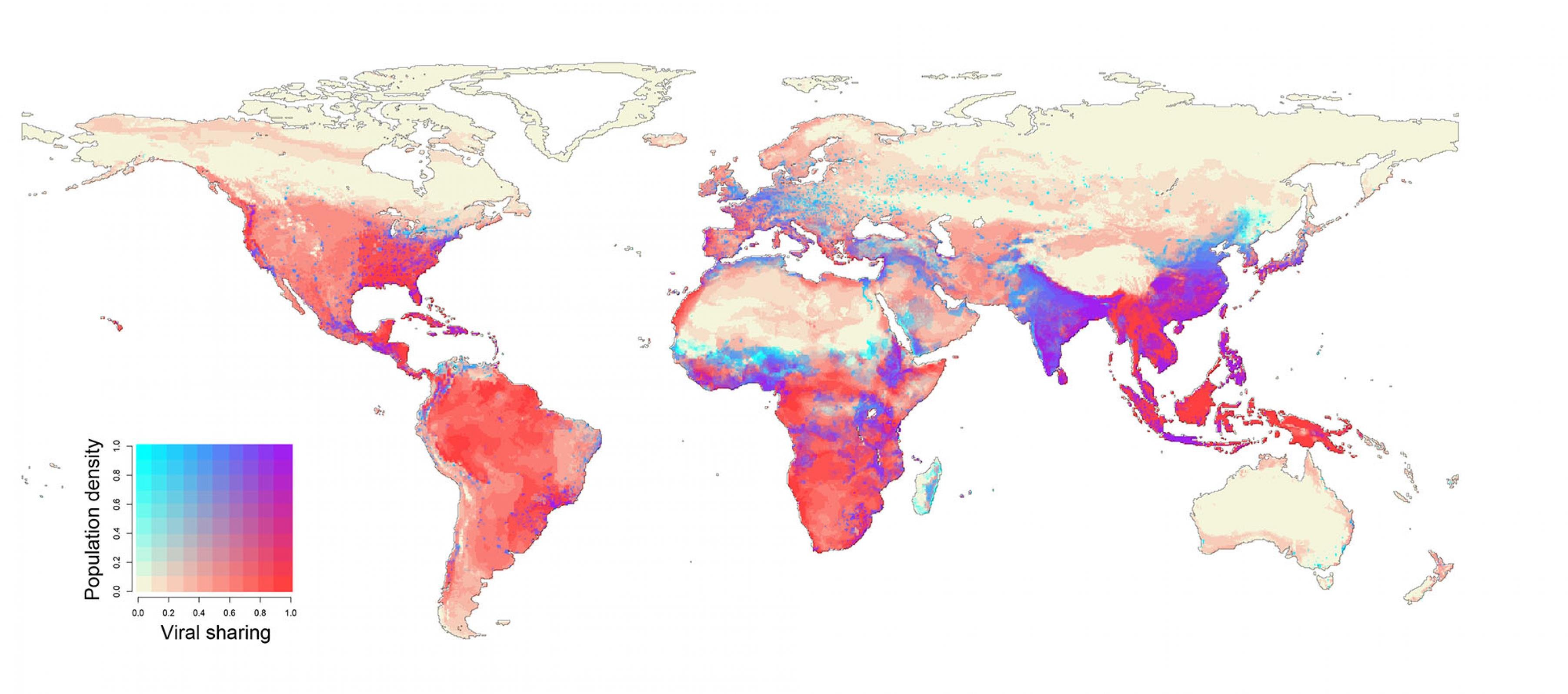 Eine Weltkarte zeigt mit verschiedenen Farben, wo sich besonders viele Säugetierarten neu treffen und wo sie besonders viele neue Viren austauschen werden.
