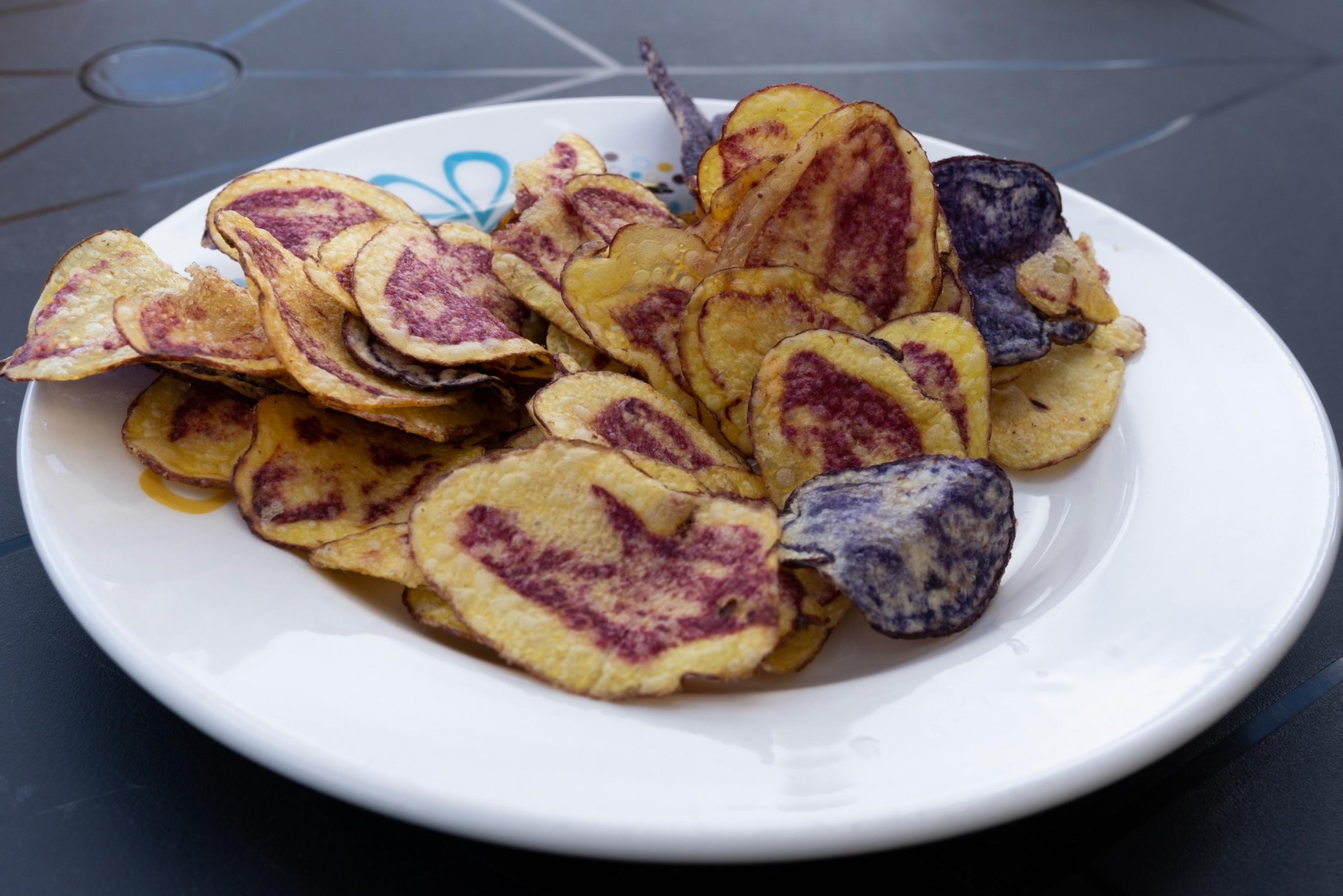 Ein Teller voll Kartoffelchips. Sie sind nicht einheitlich gelb, sondern innen gelb-himbeerfarben oder gelb-violett meliert.