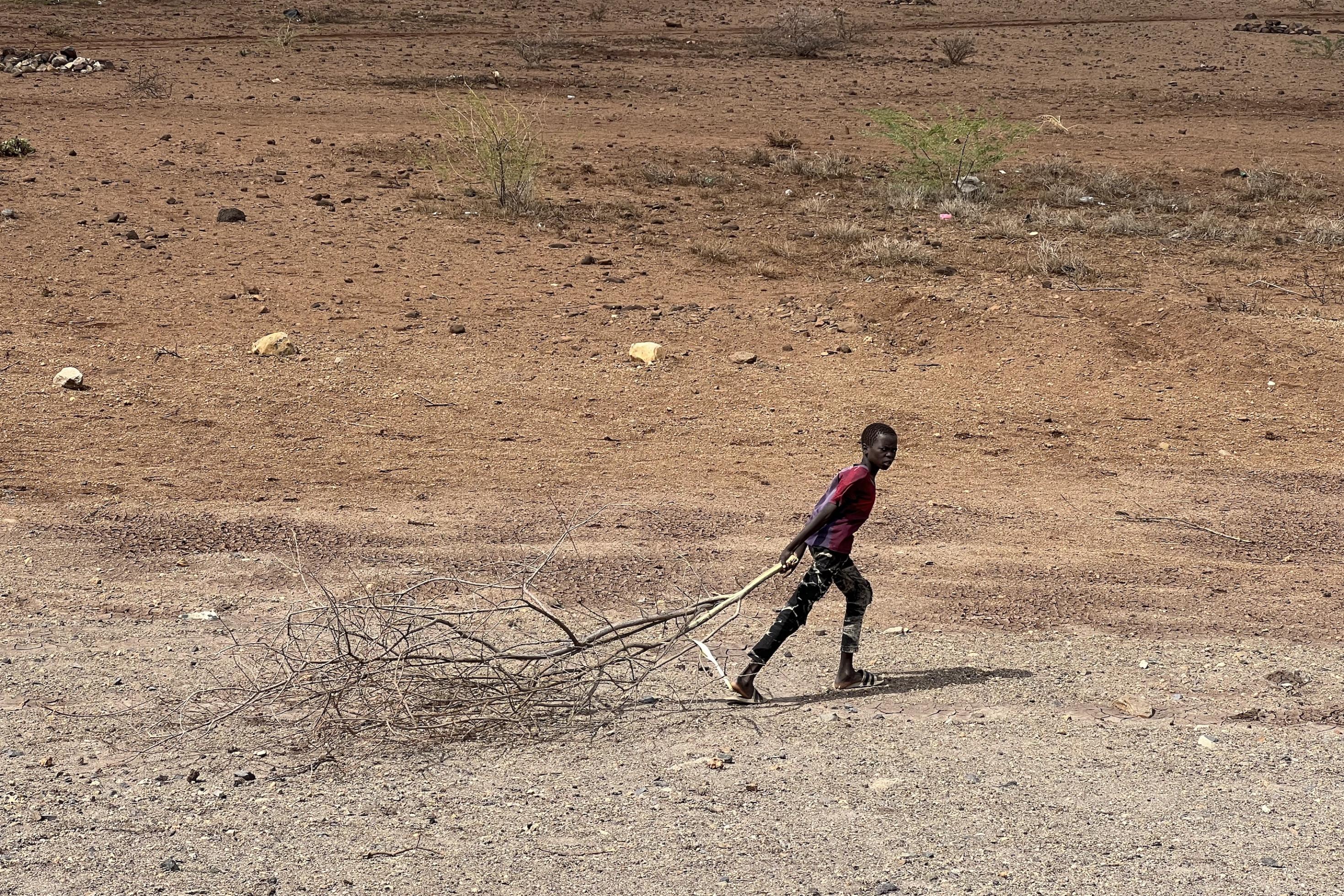 Zu sehen ist eine völlig ausgetrockente Landschaft. Ein Junge zieht einen großen Ast hinter sich her, Brennholz, das er zum nahen Flüchtlingslager bringt.