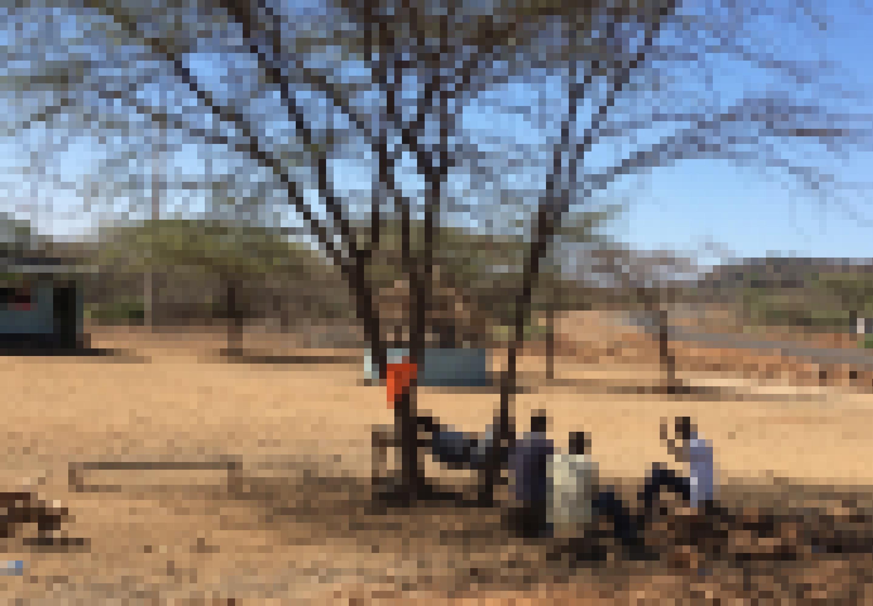 Mehrere Männer sitzen in Kenia unter einem Baum, im Hintergrund ist eine Hütte zu sehen
