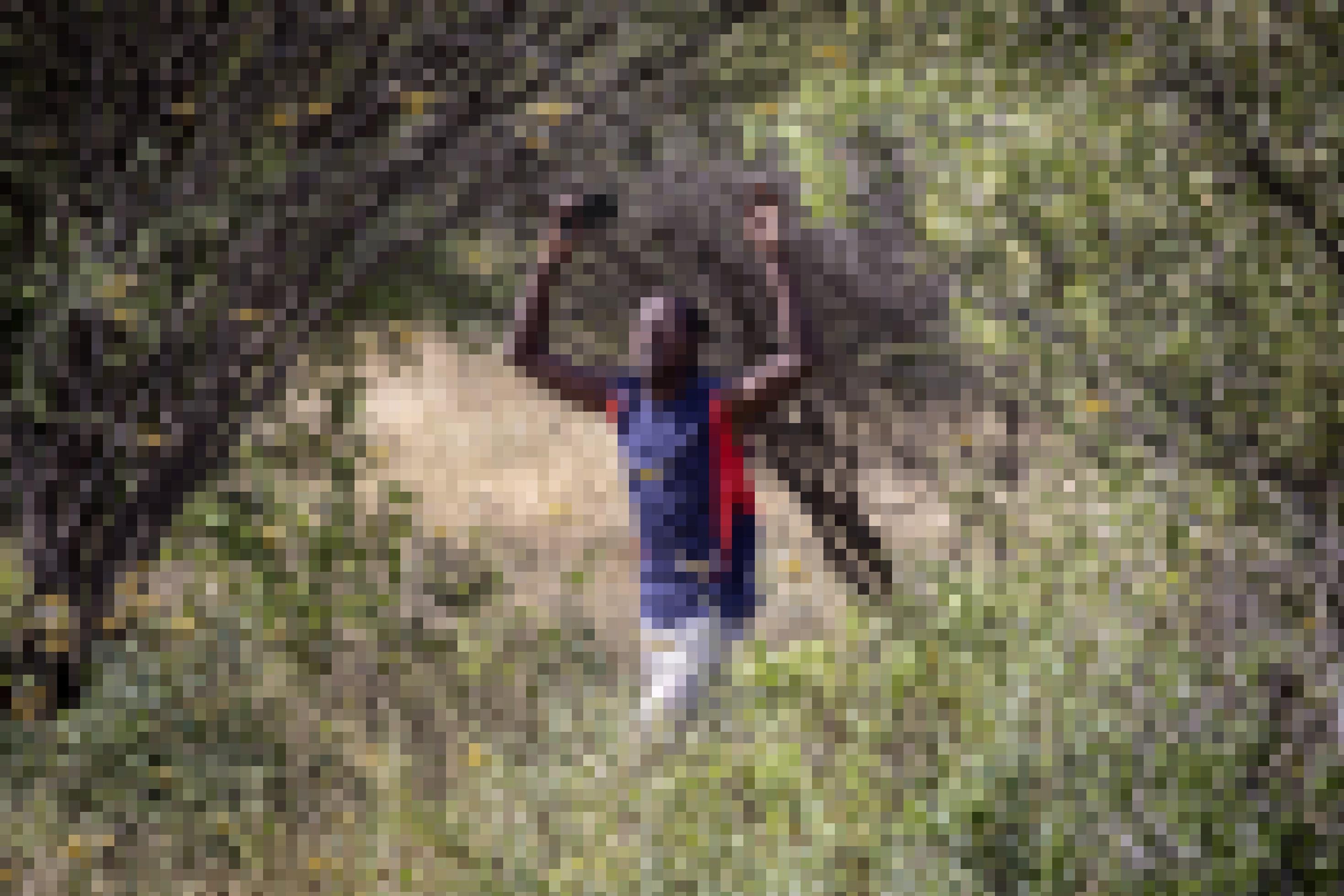 Ein Mann geht im Norden von Kenia durch einen Schwarm von Wüstenheuschrecken. Die Insekten sind so dicht, dass die Luft dunkel wirkt.