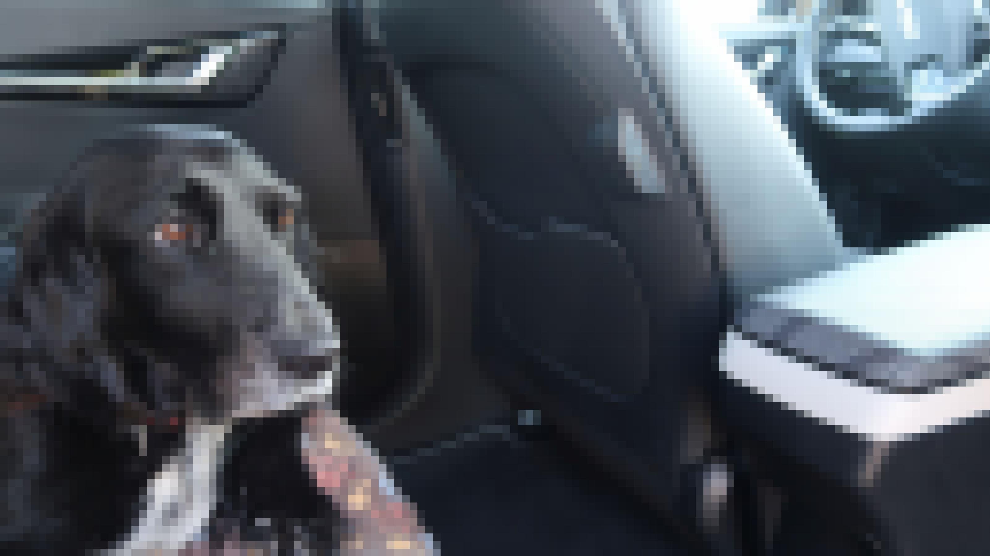 Hund liegt auf Auto-Rücksitz