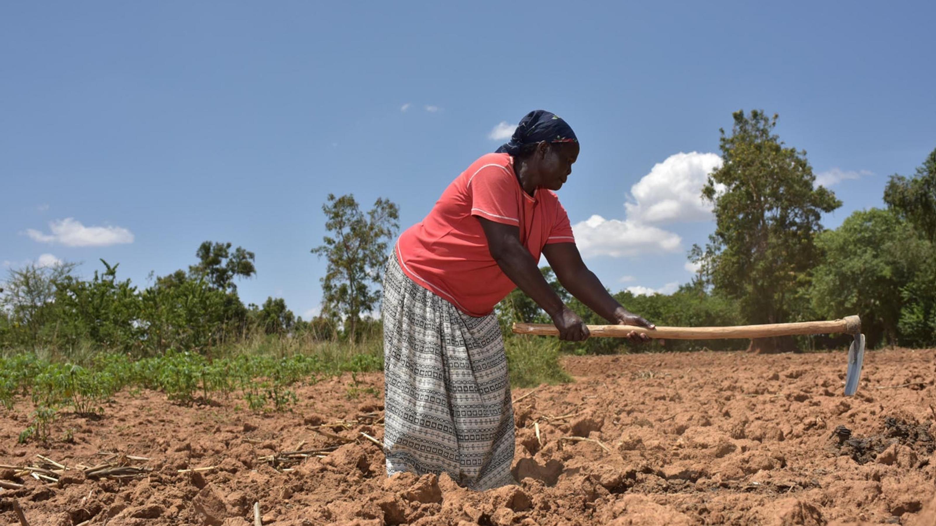 Eine etwa 50-jahre alte Bäuerin in Kenia bearbeitet ihren Acker mit einer Hacke. der Boden ist braun und trocken.Sie trägt ein Kopftuch, ein rotes kurzärmeliges T-Shirt und einen grau gestreiften langen Rock.