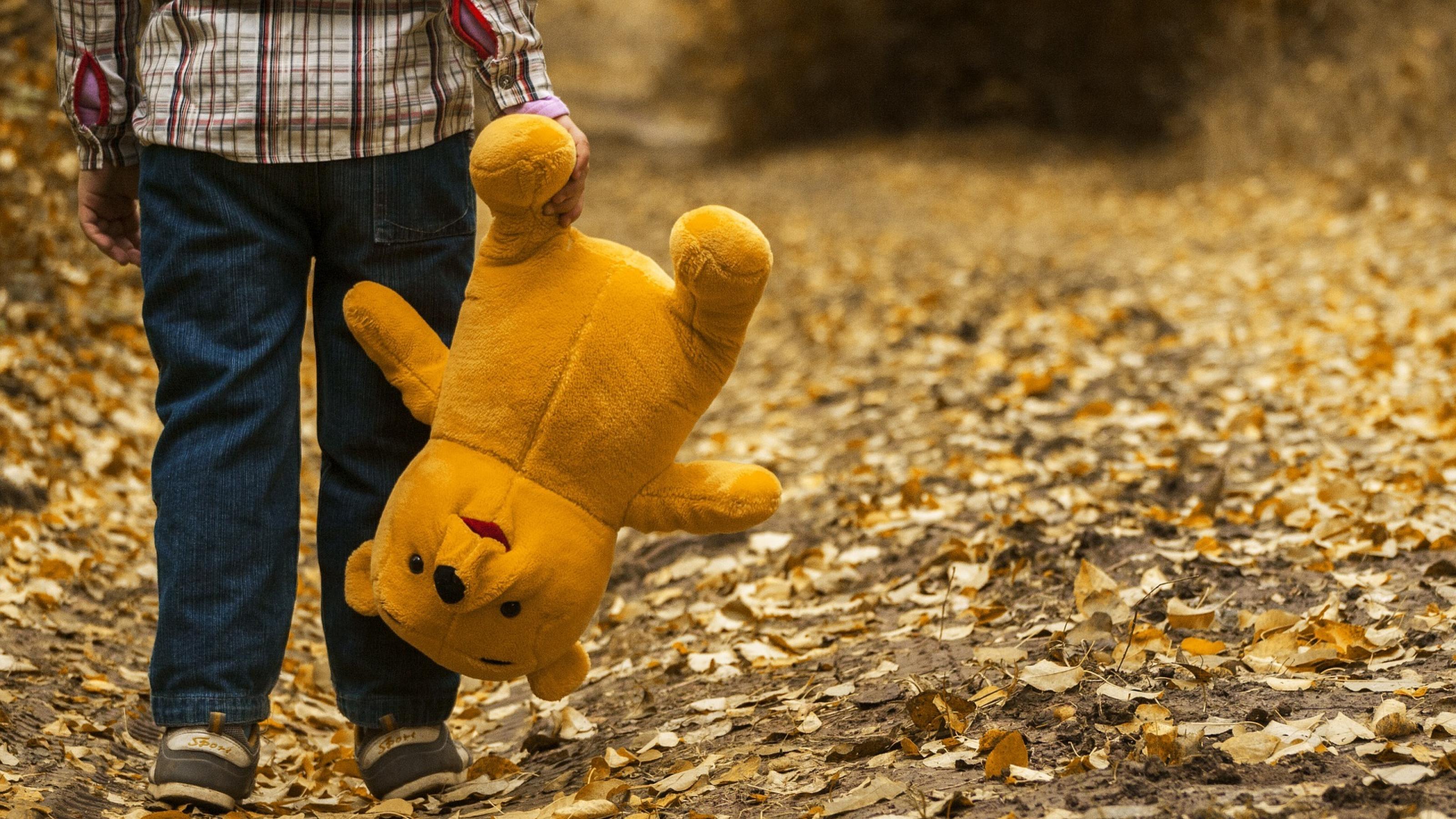 Ein kleines Kind, dessen Kopf man nicht sieht, geht mit seinem Teddy-Bär auf einem Weg, auf dem bunte Blätter liegen.