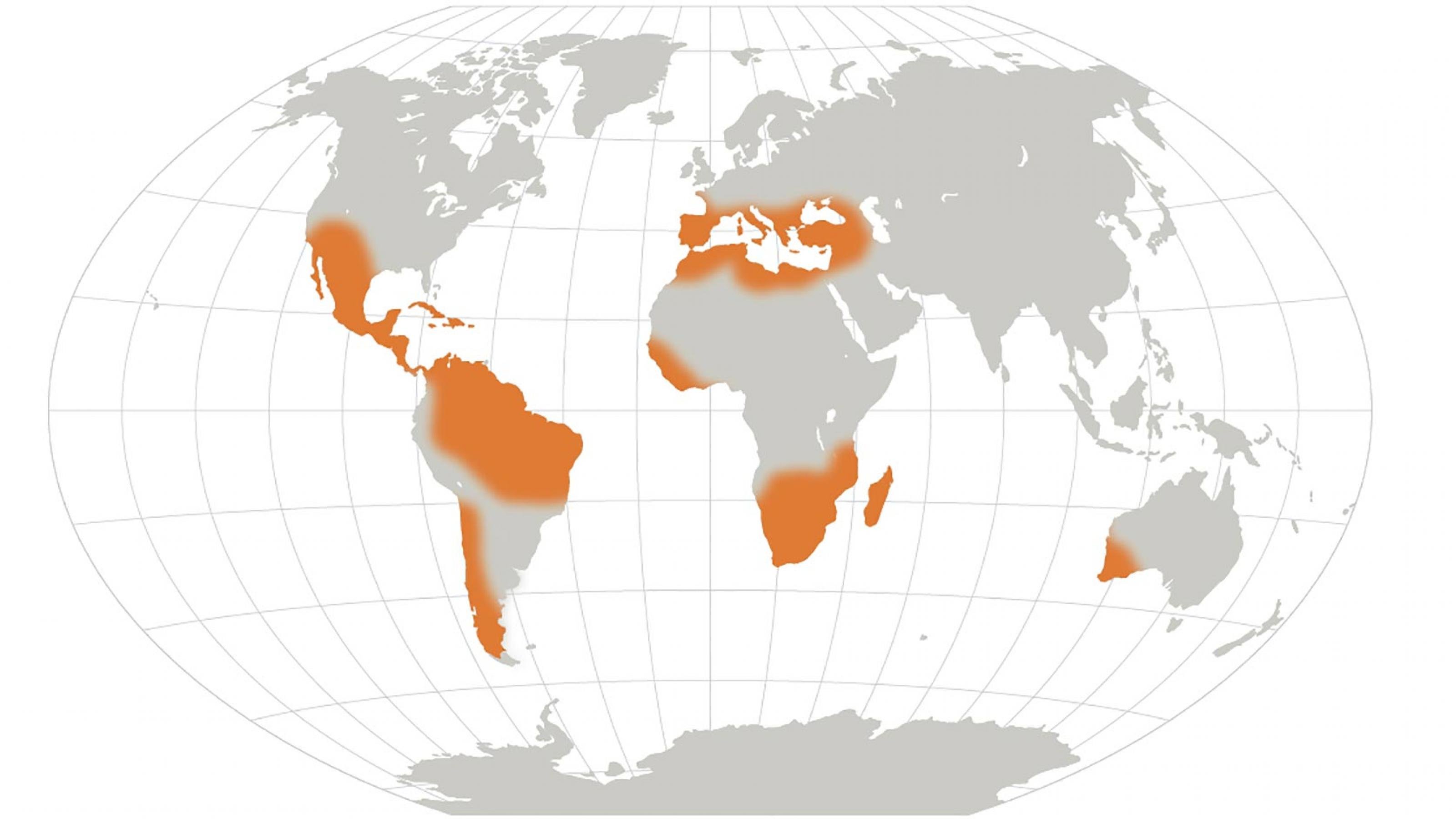 Weltkarte mit orangefarbenen Bereichen vor allem in Mittel- und Südamerika sowie Afrika