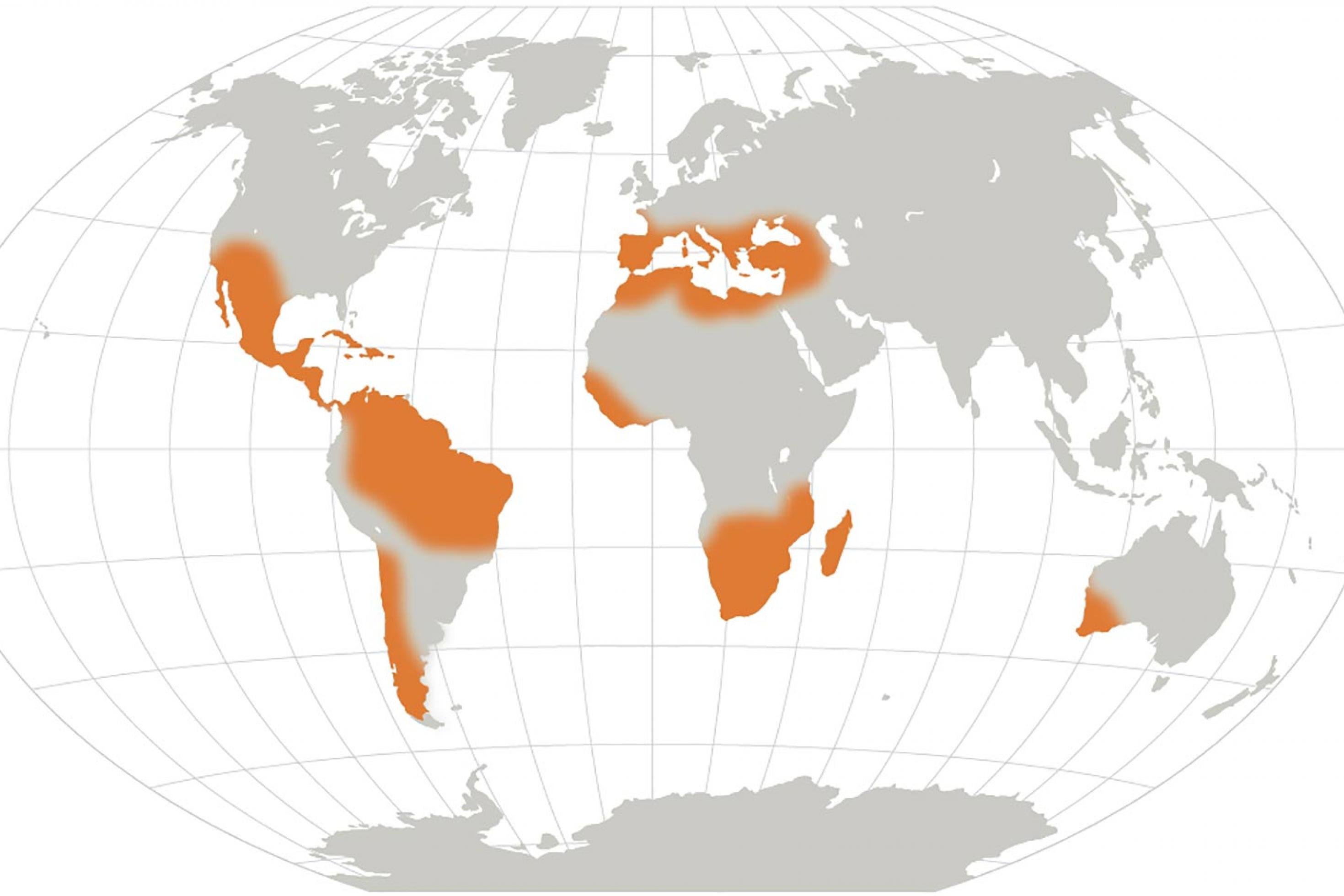 Weltkarte mit orangefarbenen Bereichen vor allem in Mittel- und Südamerika sowie Afrika