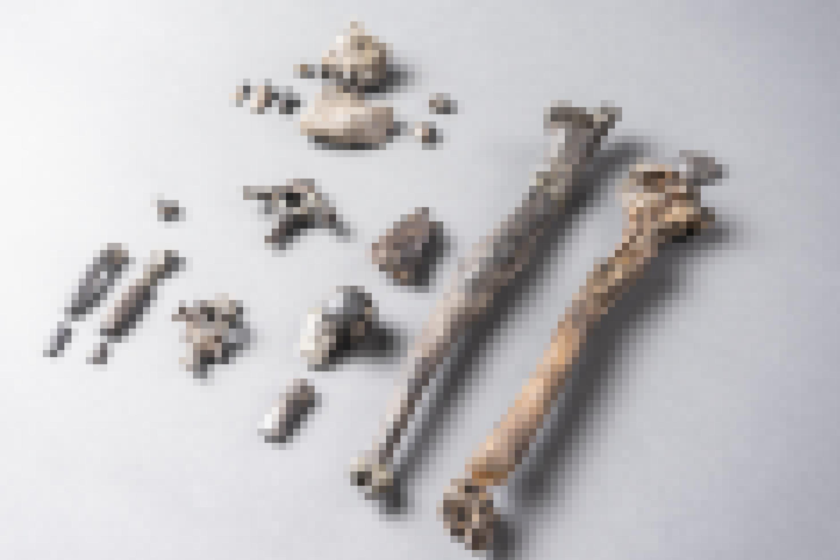 Hier sind die 21 Knochenstücke zu sehen, die Forscher von dem Menschenaffen „Udo“ gefunden haben. Es handelt sich nur um den Bruchteil eines kompletten Skelettes und doch verraten die Fossilien den Wissenschaftlern, dass „Udo“ sowohl aufrecht gehen als auch gut klettern konnte.