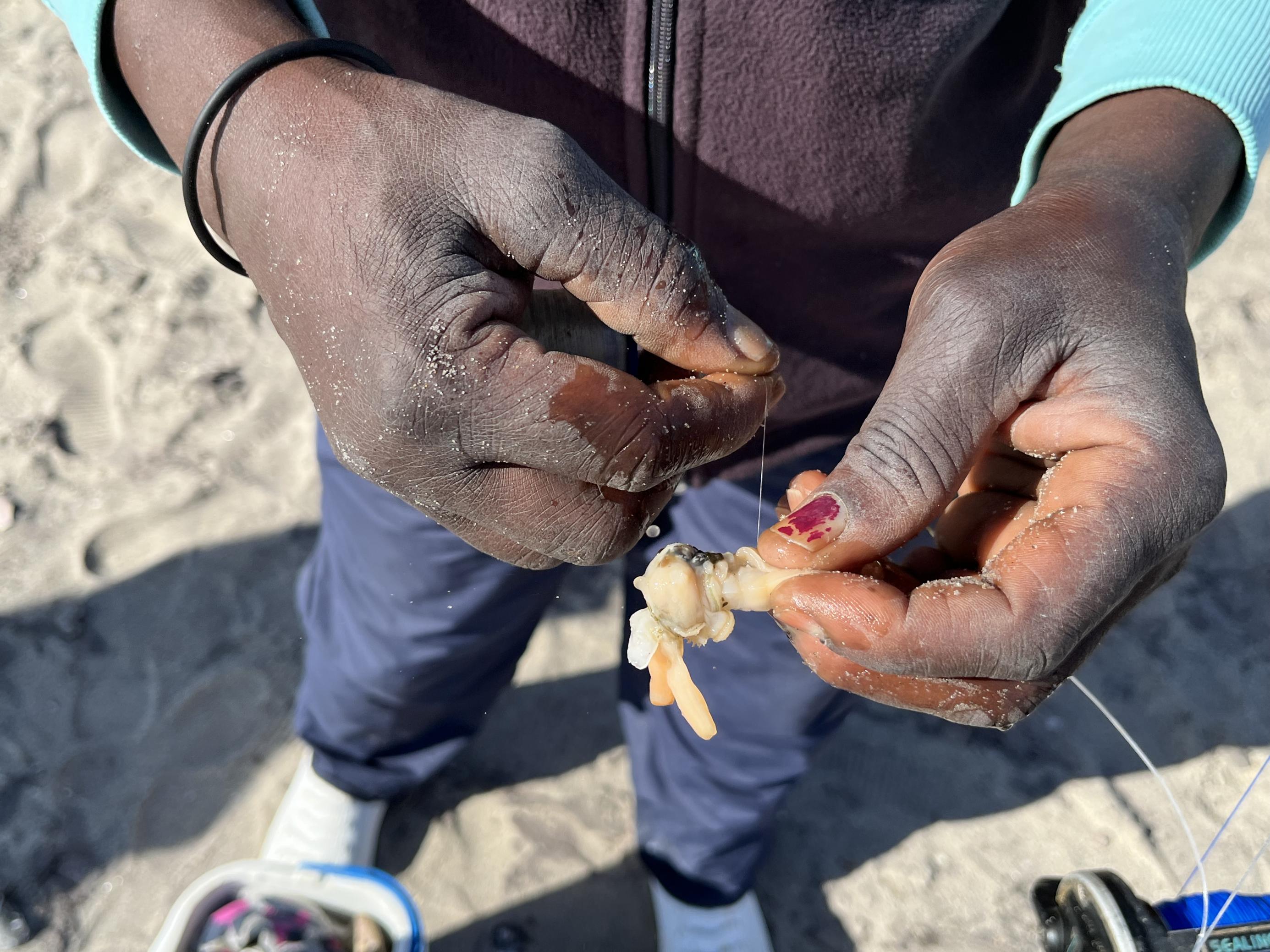 Man sieht die Hände der Kleinfischerin, vom Daumen blättert roter Nagellack ab. Sie bindet den Köder aus Muschelfleisch an  die Angelschnur