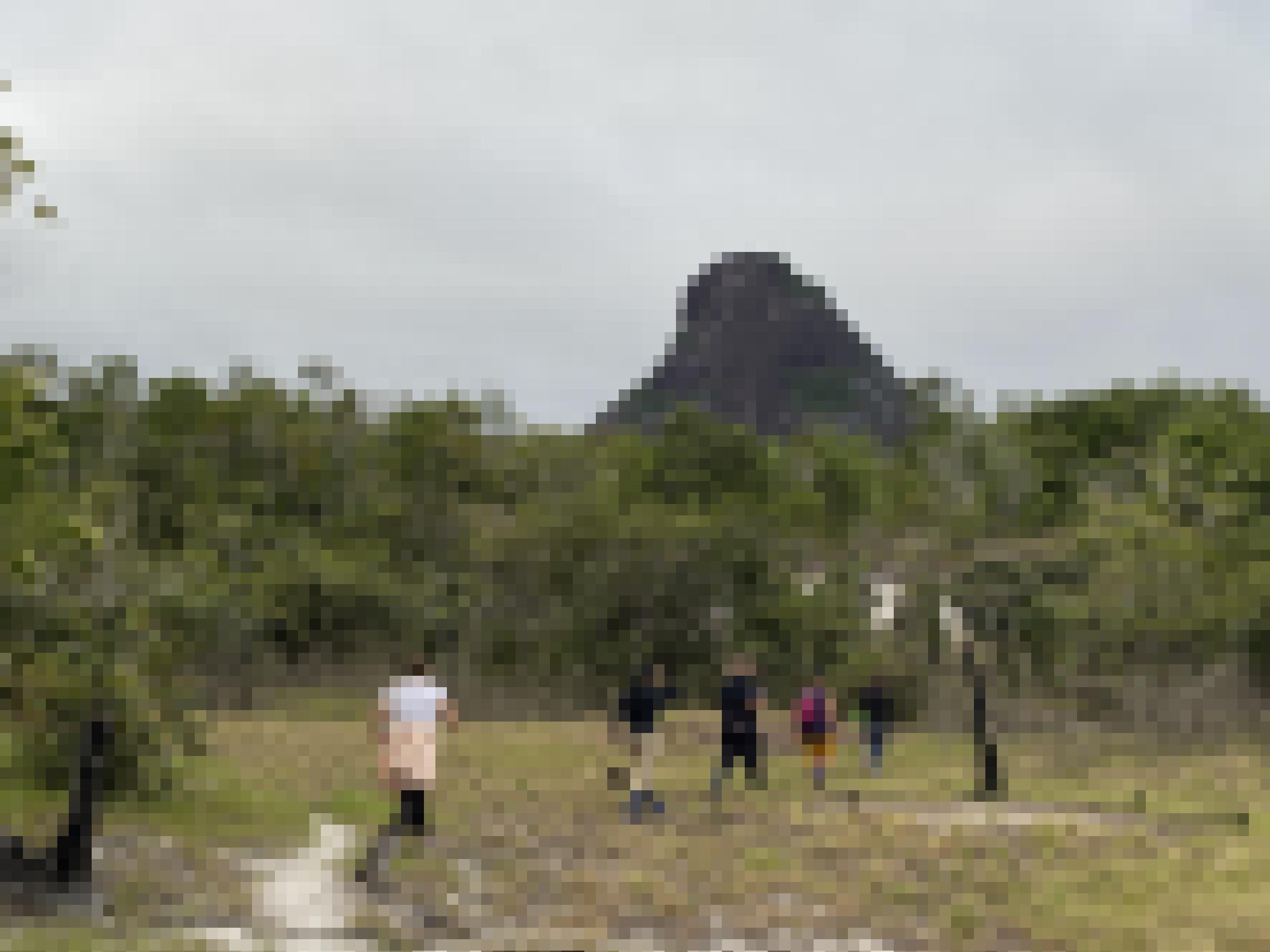 Eine Gruppe Wanderer auf sandigem Boden, dahinter ein Tafelberg.