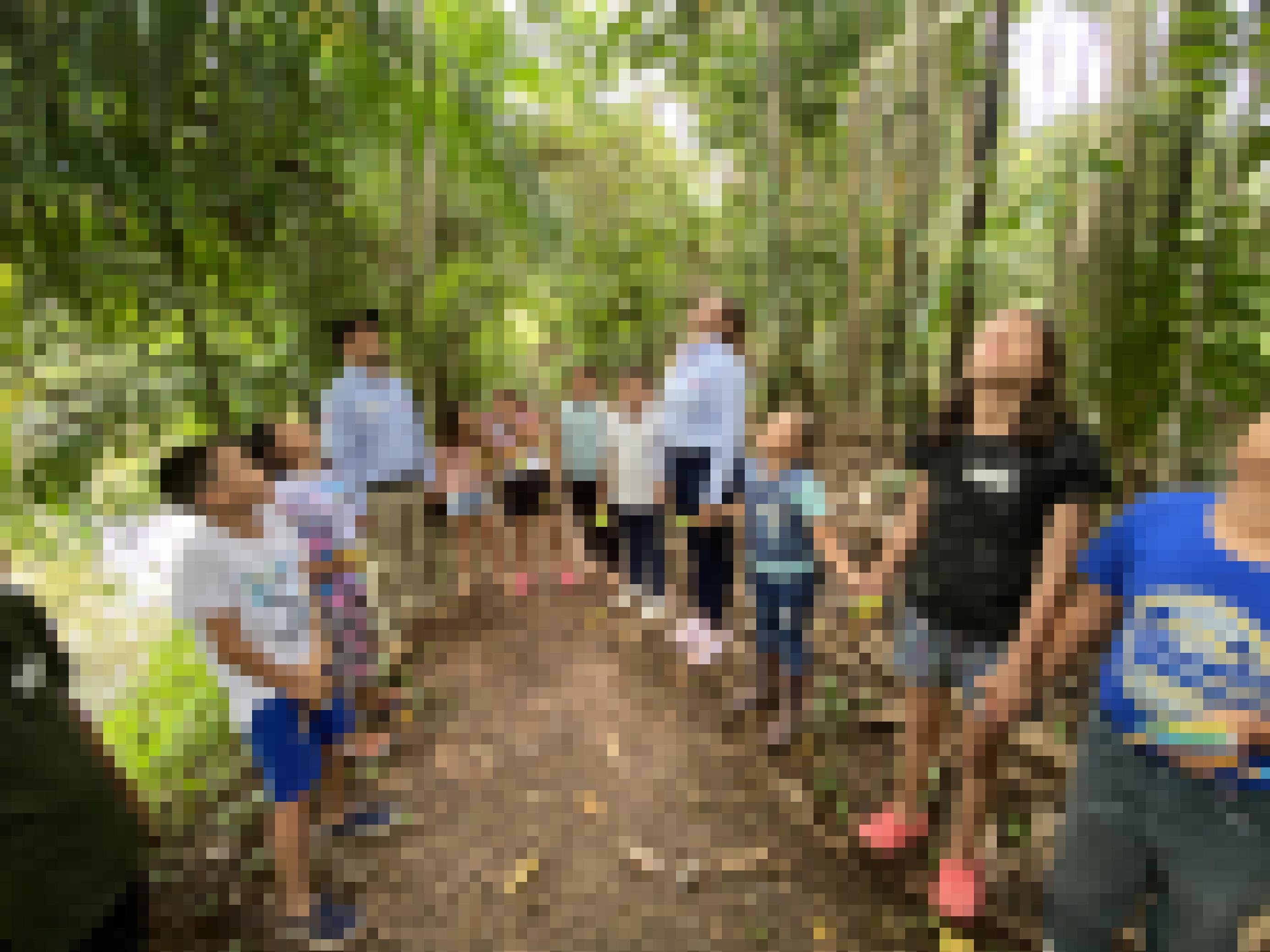 Kinder im Wald fassen sich an den Händen und blicken mit geschlossenen Augen in den Himmel..