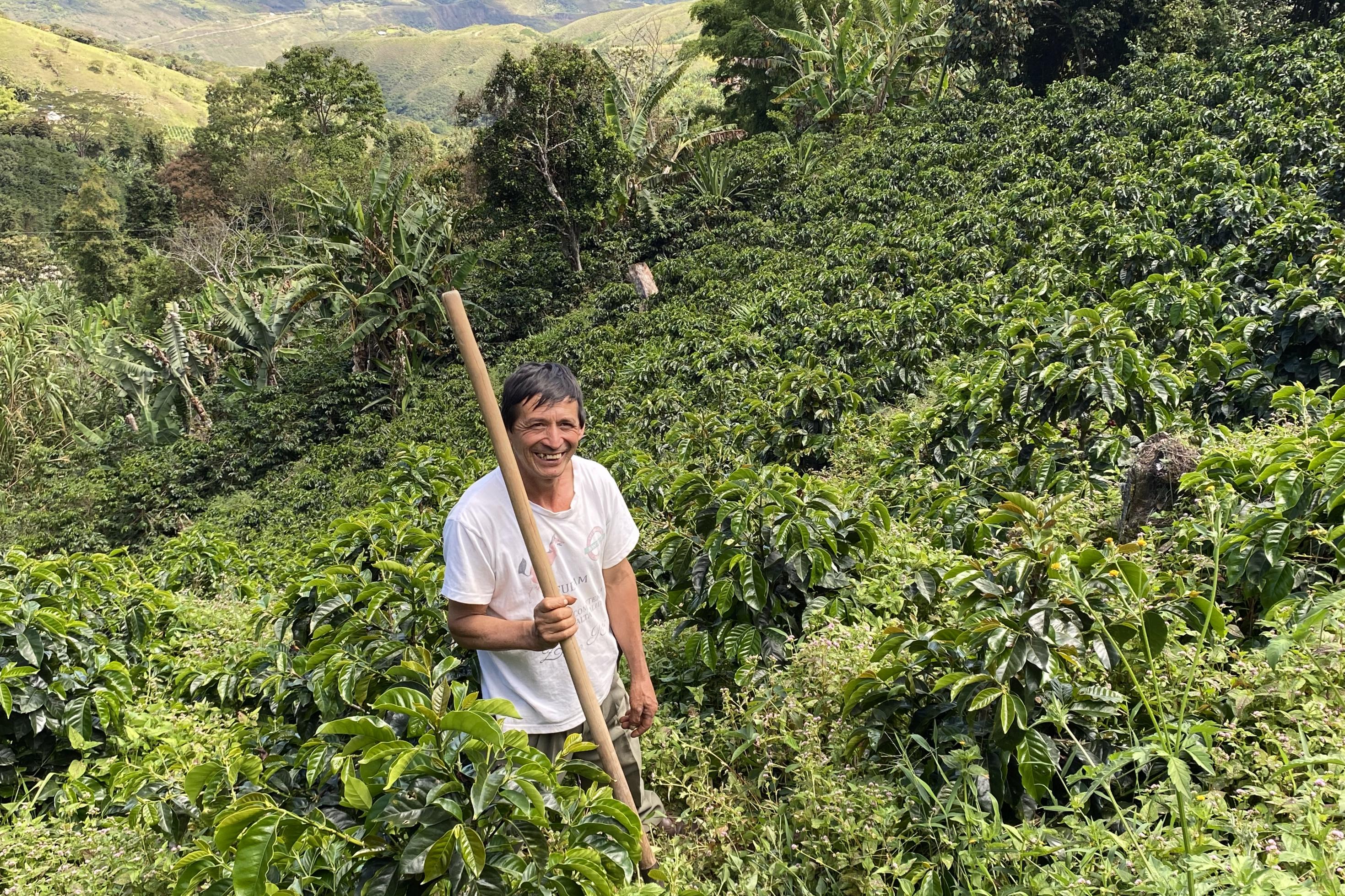 Ein Kaffeebauer an einem Abhang, umgeben von kleinen Kaffeesträuchern.