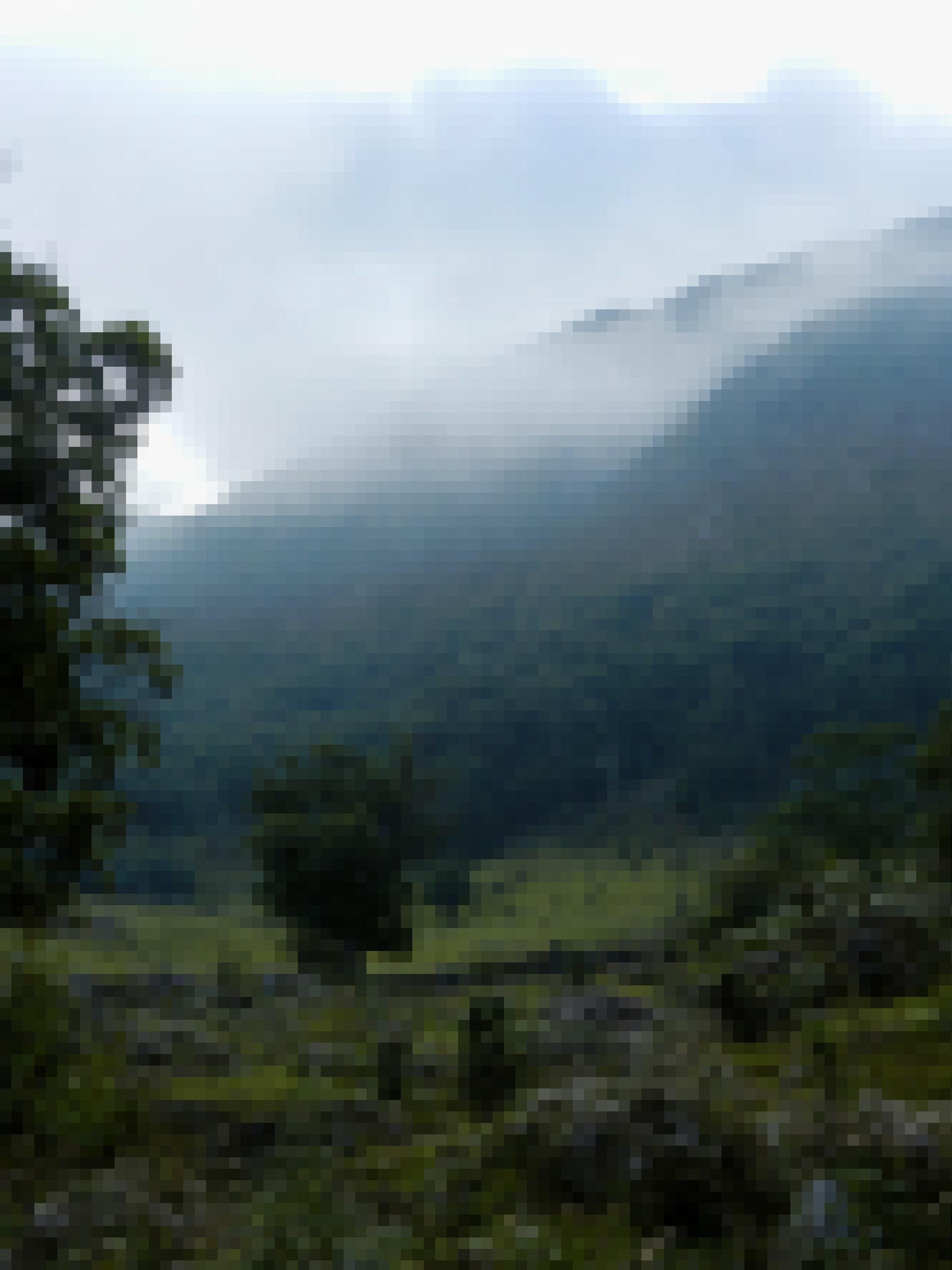 Saftig grüne Weide, dahinter erheben sich steil bewaldete Bergketten, die in Nebel und Wolken verschwinden.