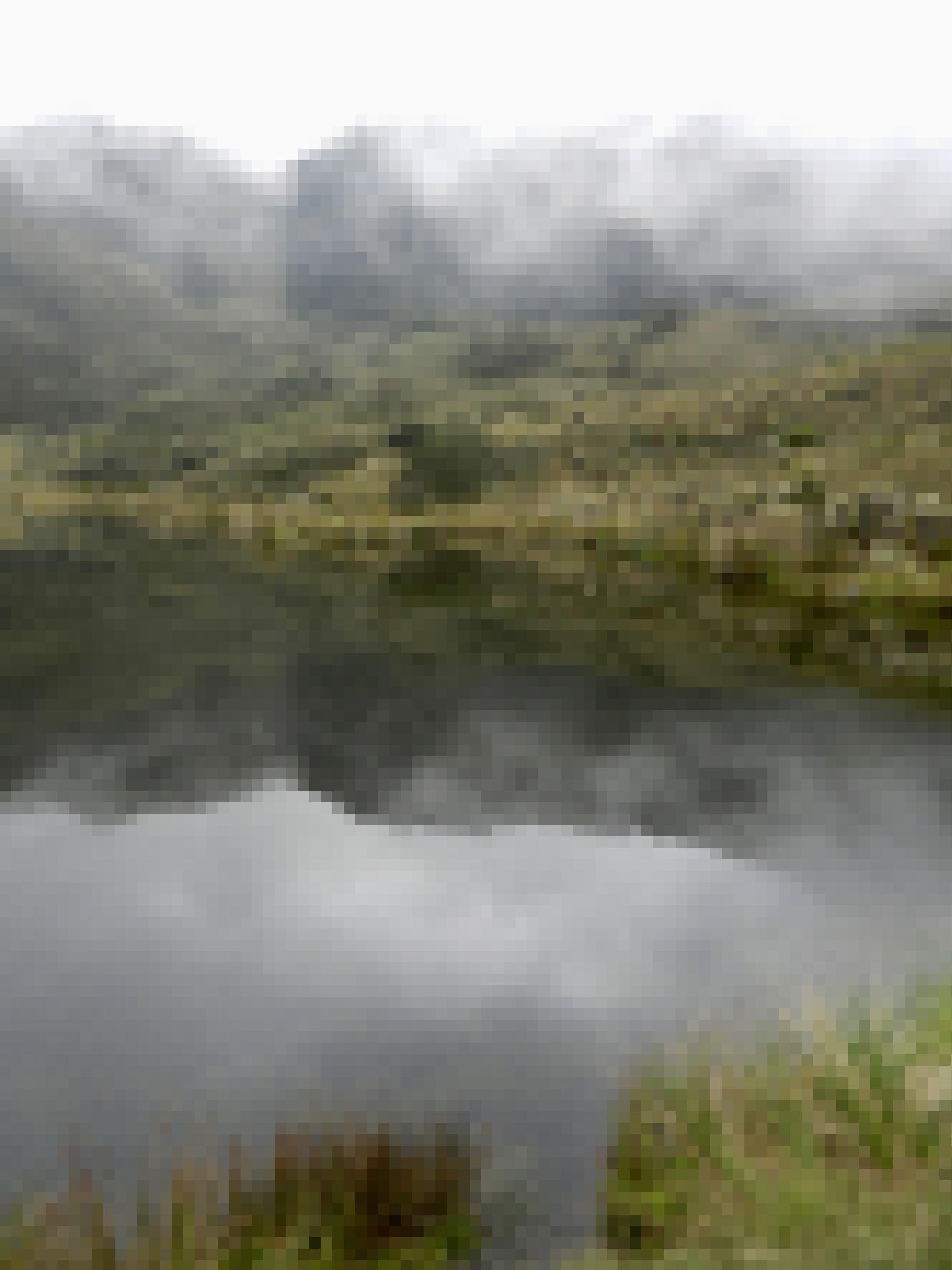 See mit dunklem Wasser hoch auf einem Berg. Um ihn ist eine Landschaft mit niedriger Vegetation, aus der Schopfrosettenbäumchen herausstechen. Eine Nebelwand bewegt sich auf den See zu.