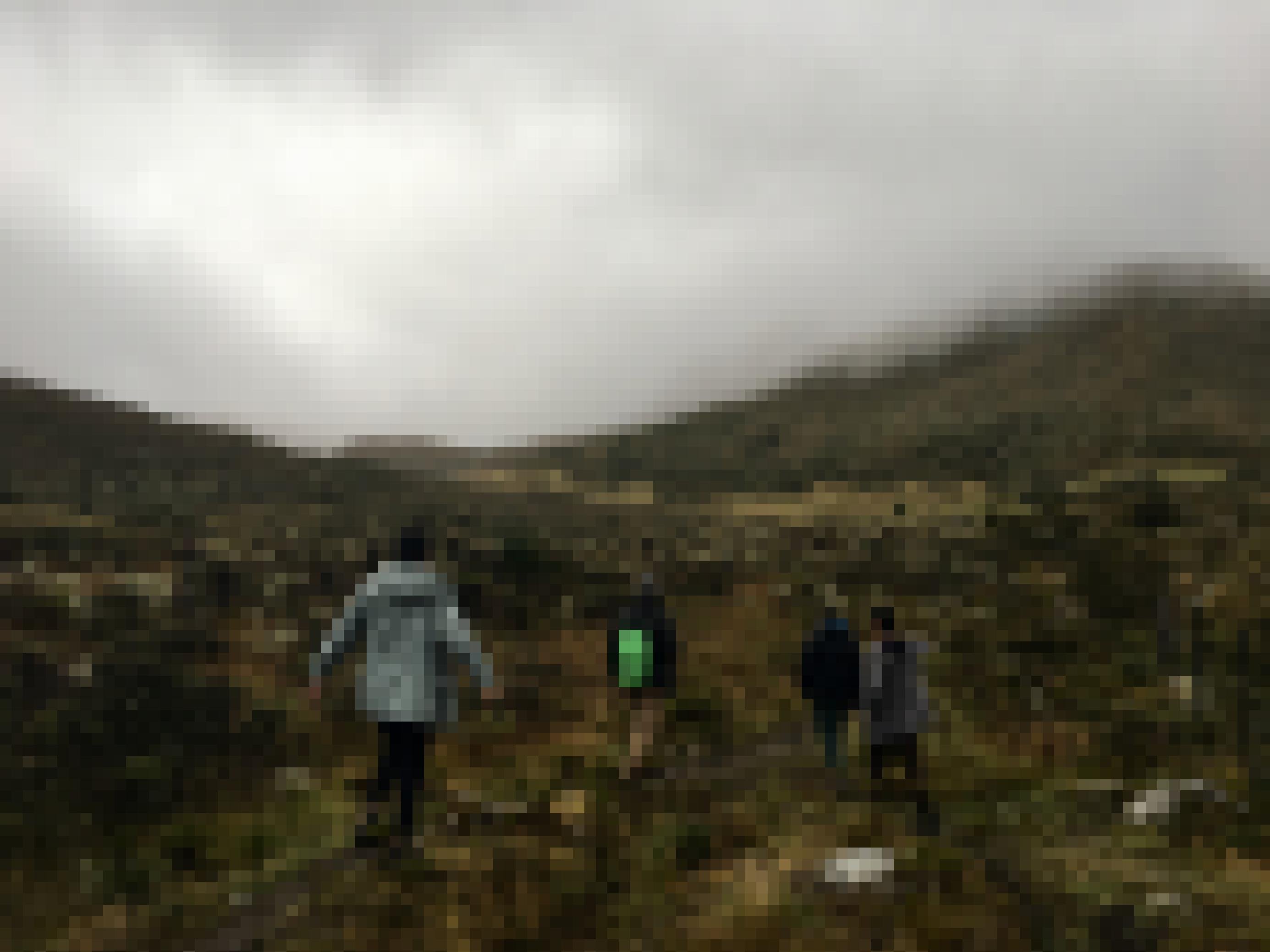 Vier junge Menschen in dicken Jacken, eine Person davon mit kleinem Rücksack, gehen durch eine moorartige Berglandschaft. Die Gipfel verhüllt Nebel.