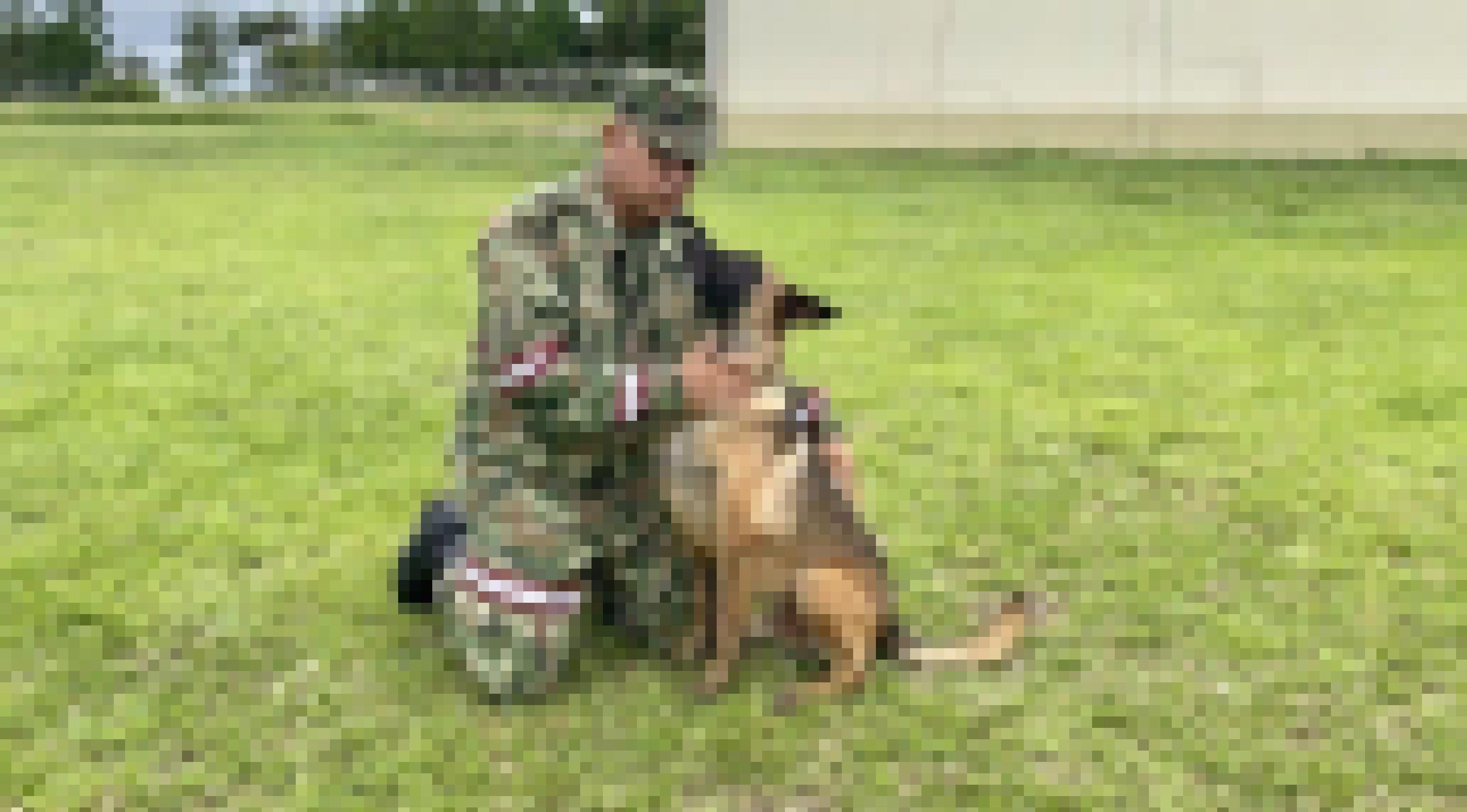 Soldat in Flechtern und Schiebermütze kniet neben Schäferhund auf einem Rasen. Der Hund blickt zu ihm hoch, er tätschelt ihn am Hals mit einer Hand und hat die andere um ihn gelegt.