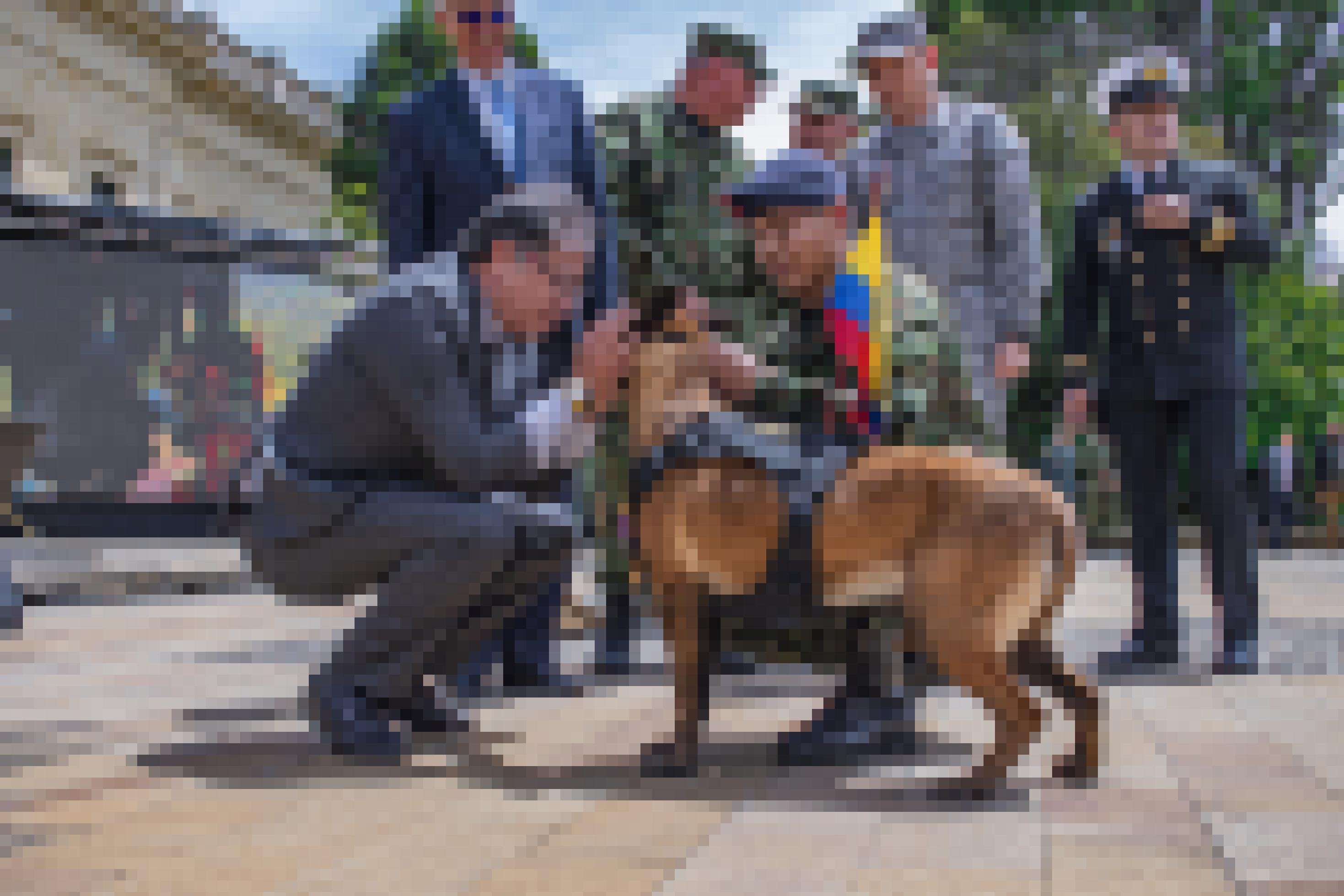 Präsident kniet vor Hündin und hält ihren Kopf mit beiden Händen so, dass er nicht zu erkennen ist. Hinter den beiden stehen ein Mann im Anzug, drei Soldaten in Flechtern und ein Militär in blauer Uniform mit Schiebermütze, vermutlich von der Luftwaffe.